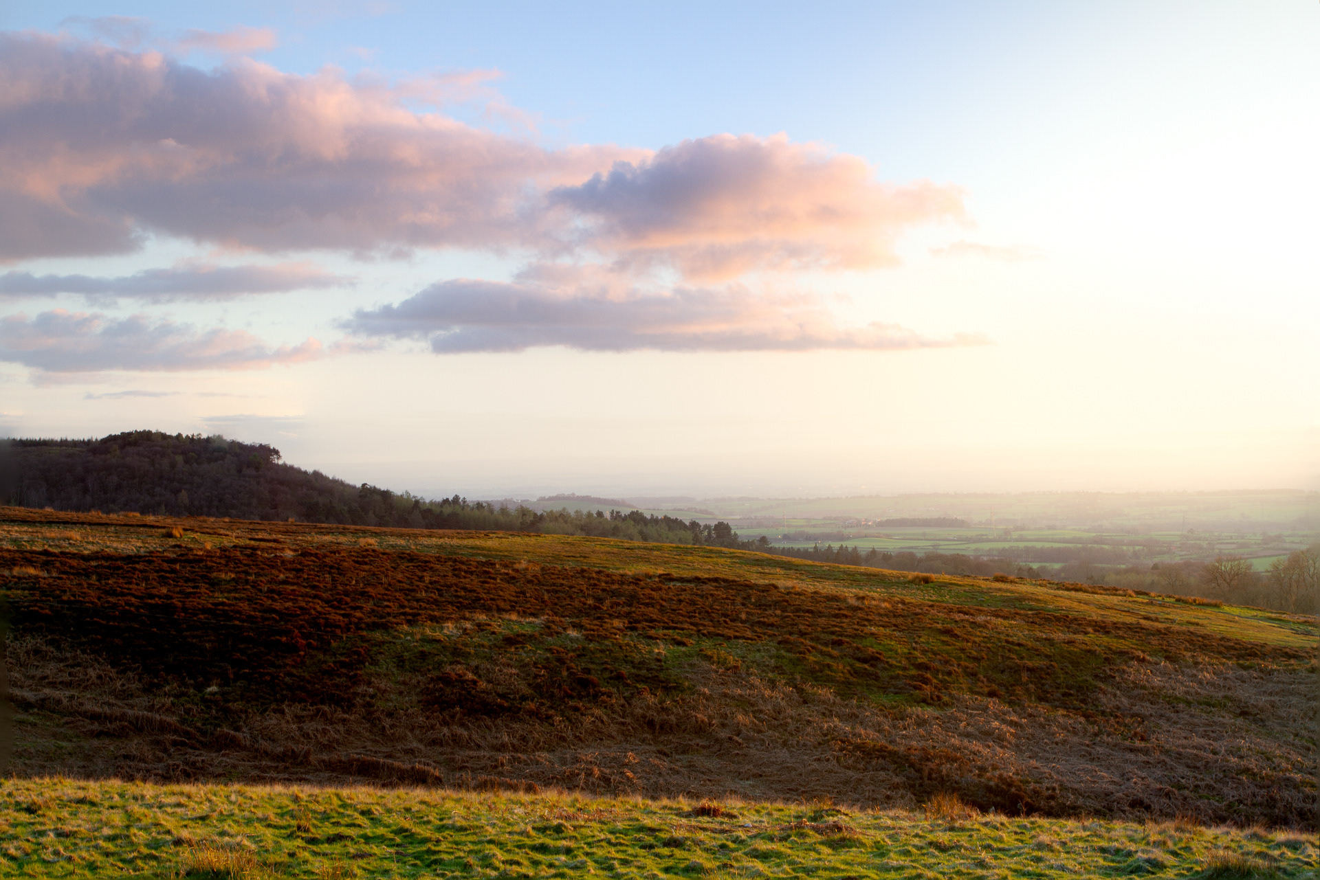 Towards Northallerton from Osmotherley Moor