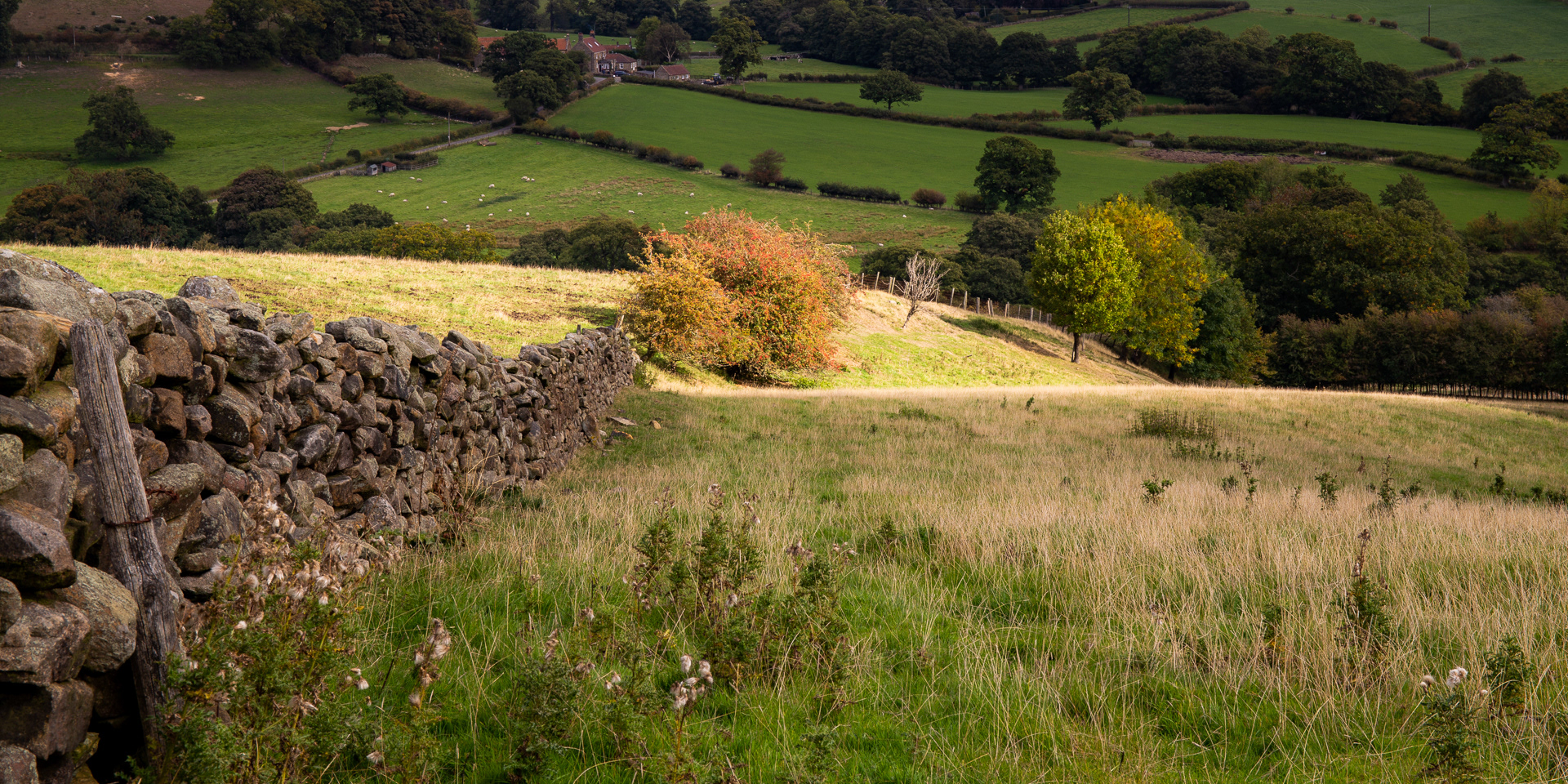 Autumn over Farndale