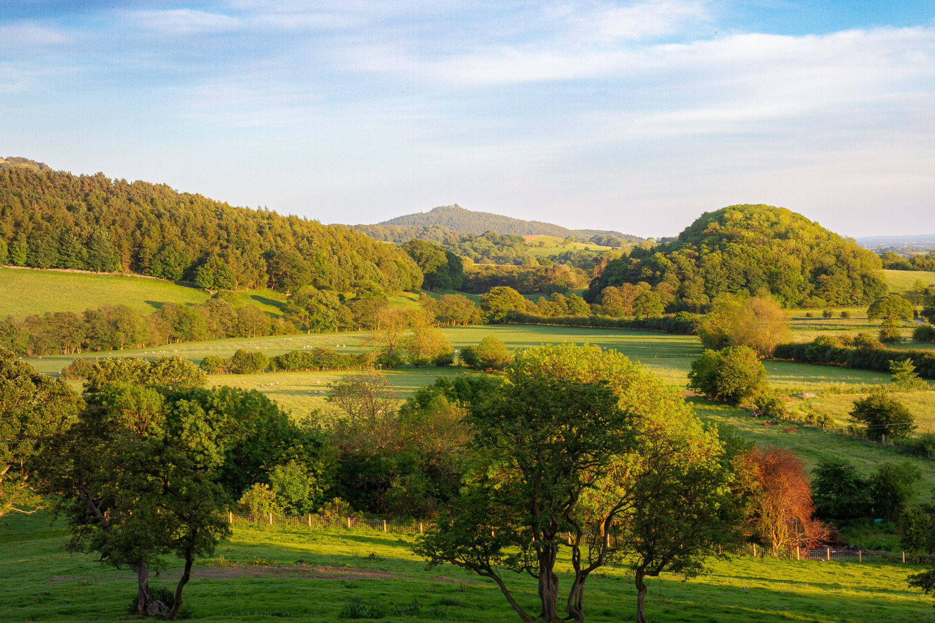 Autumn light looking towards Hood Hill