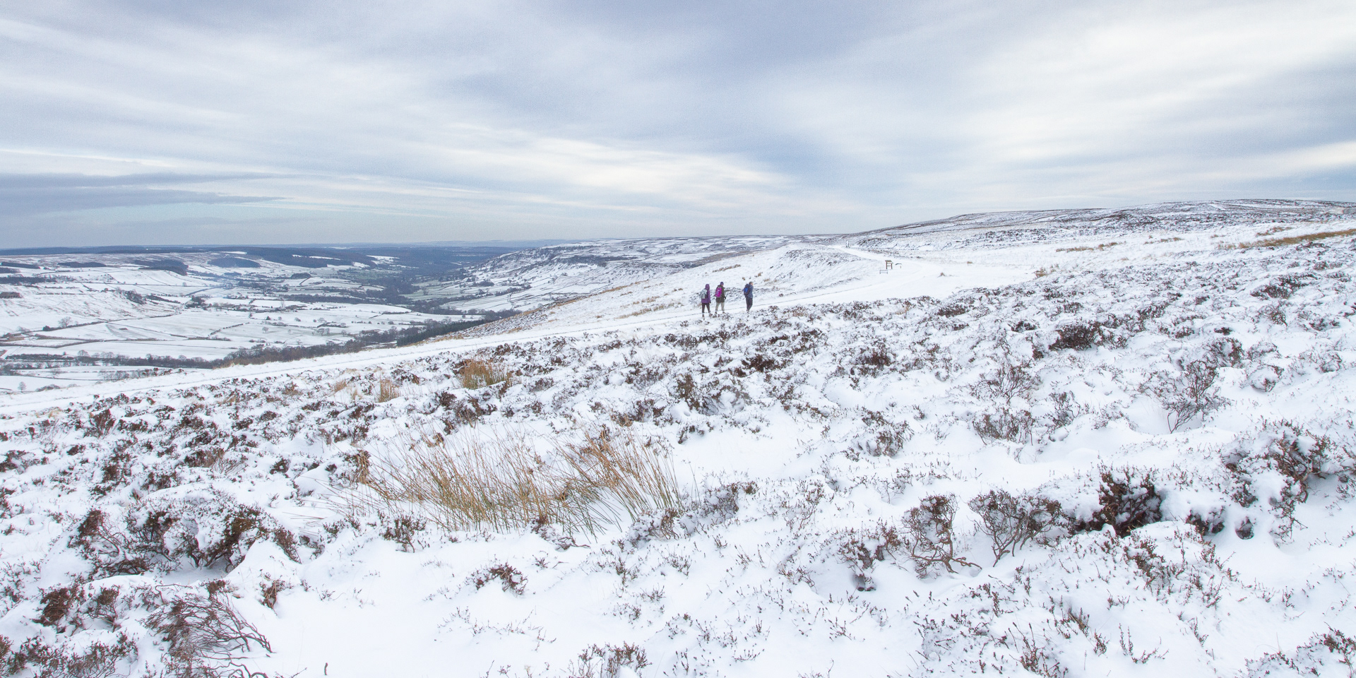 Hiking in the snow