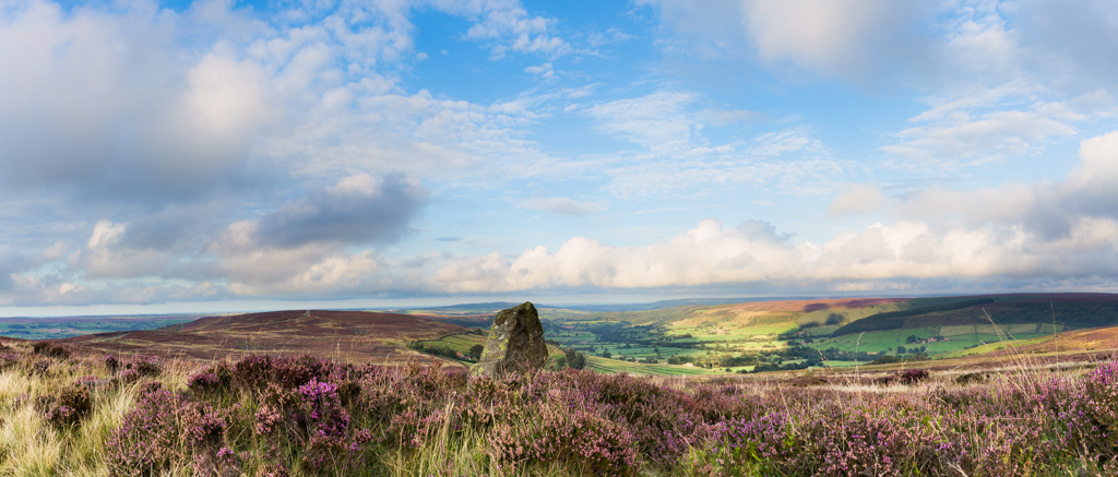 NY Moors panarama