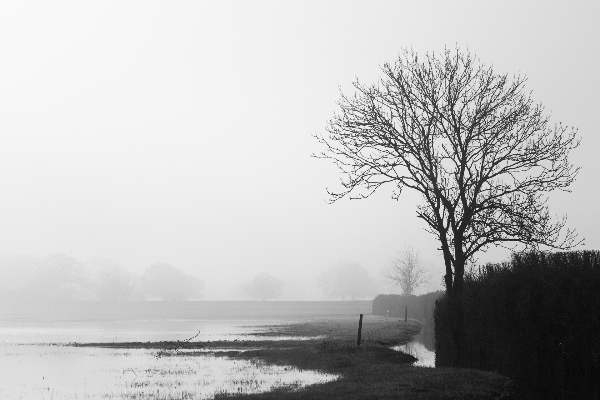 Flooded fields from River Ouse