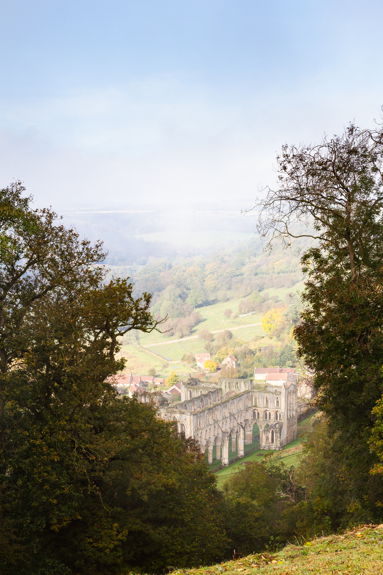 Misty Revievaulx