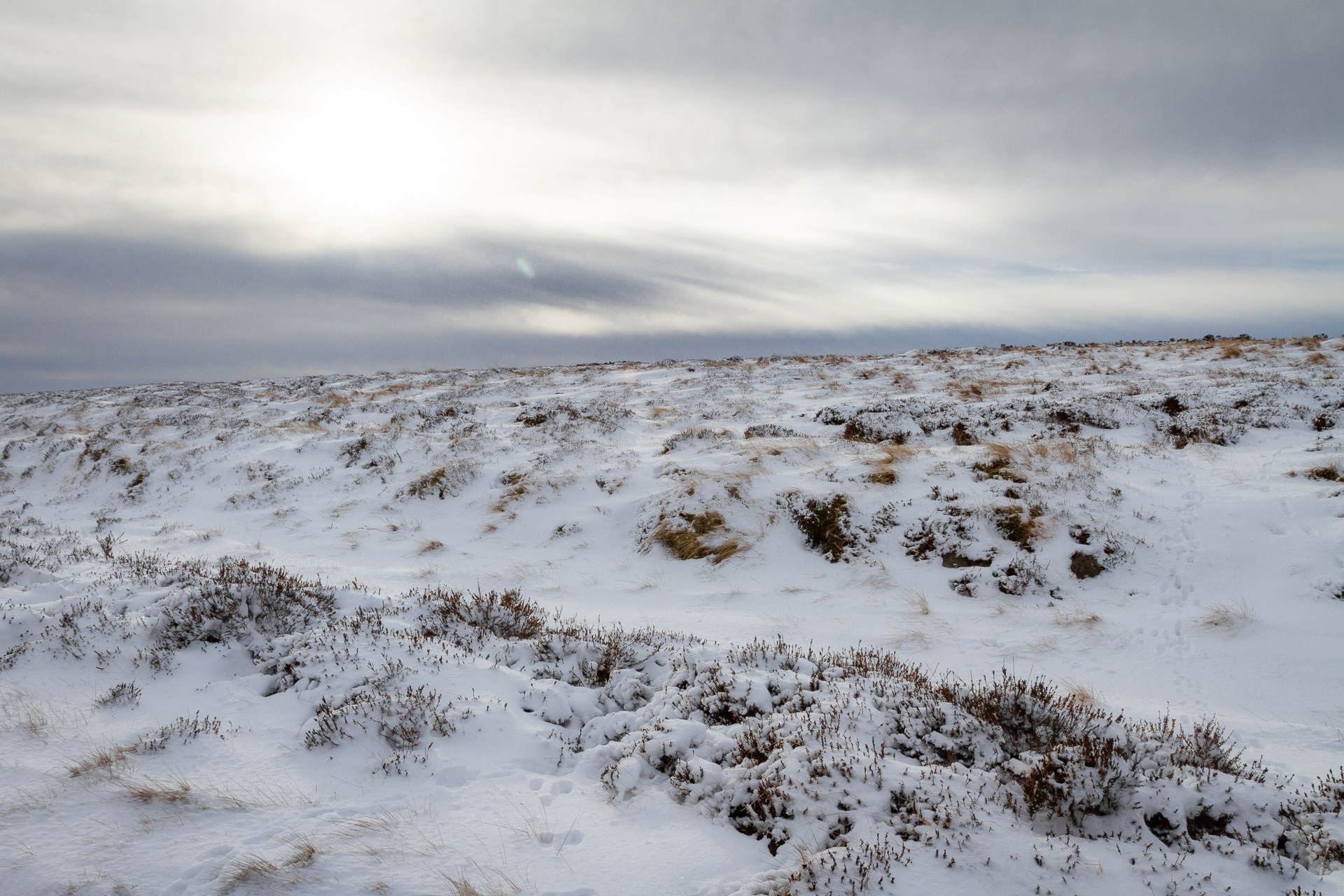 Snowy moorland