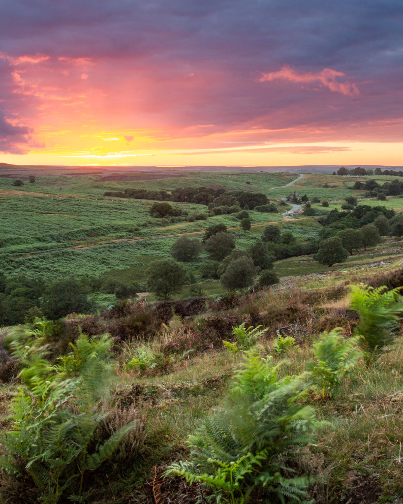 Moorland sunset