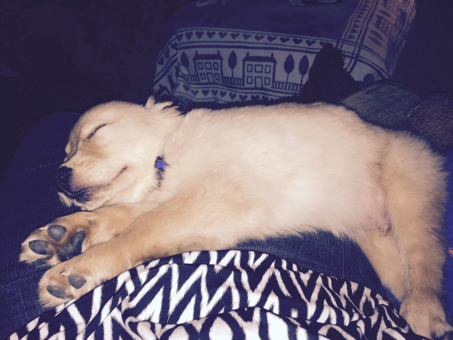 Barclay’s ride to his new home