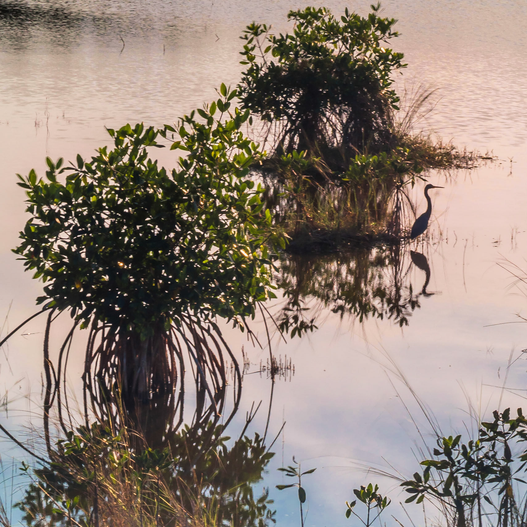 Big Cypress National Preserve