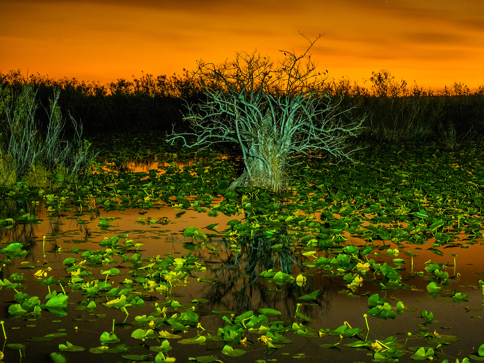 Everglades National Park