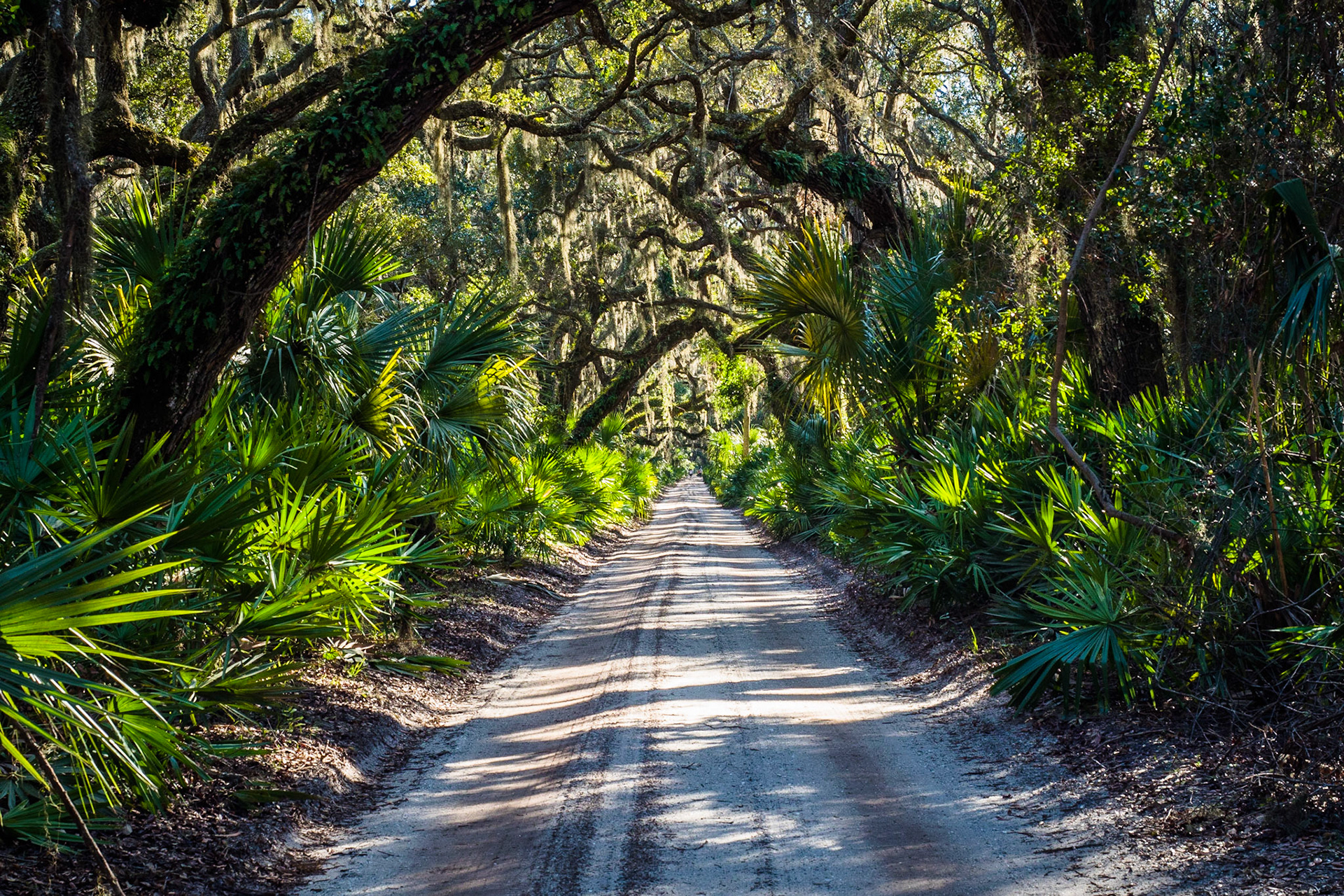 Cumberland Island National Seashore