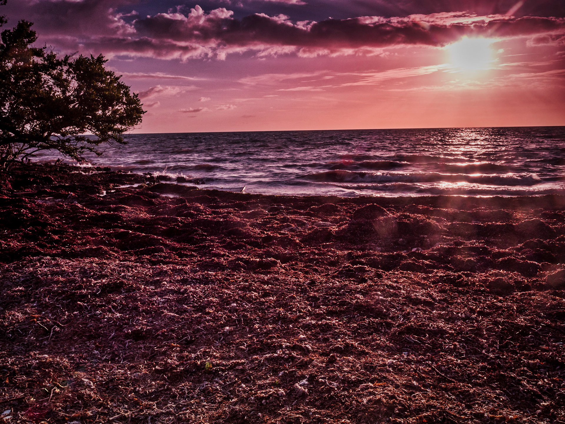 Biscayne National Park