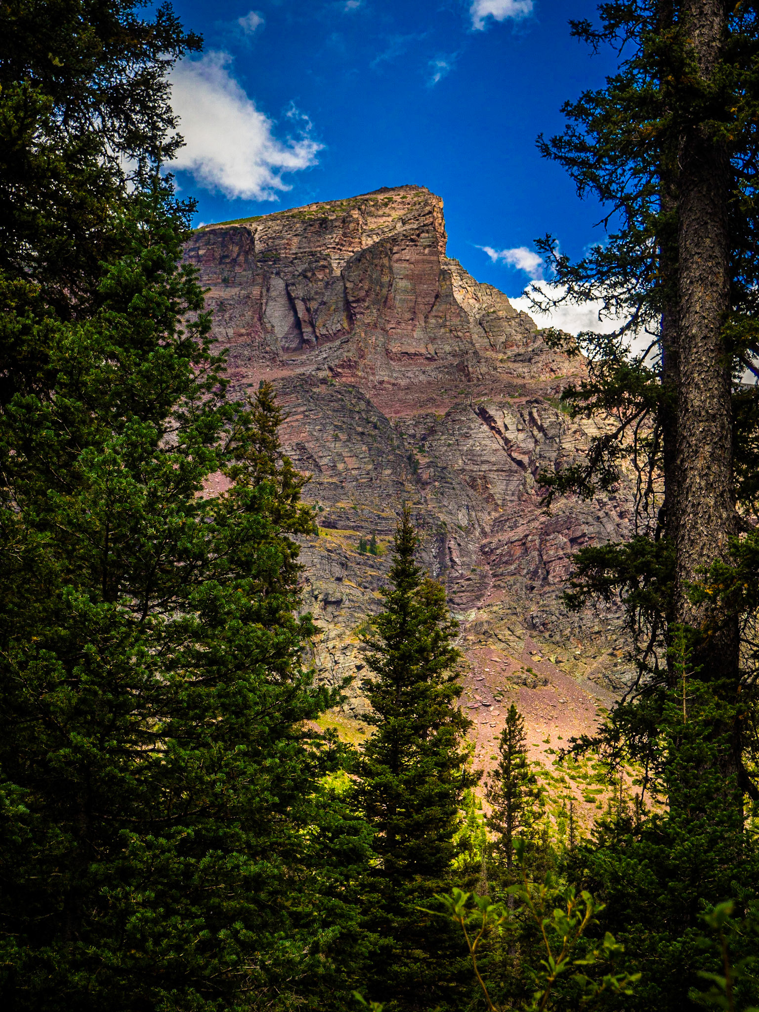 Yosemite National Park