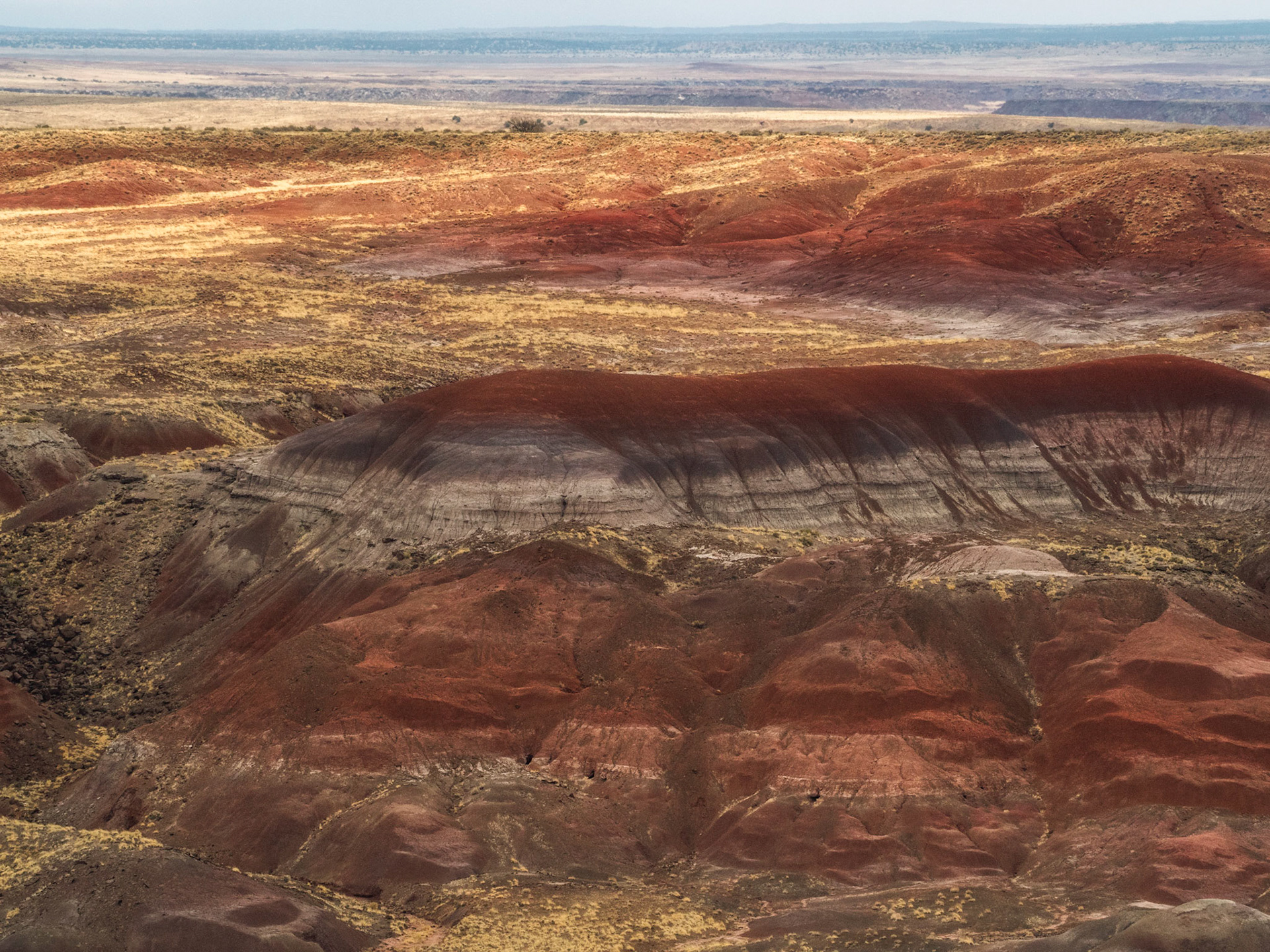 Petrified Forest National Park