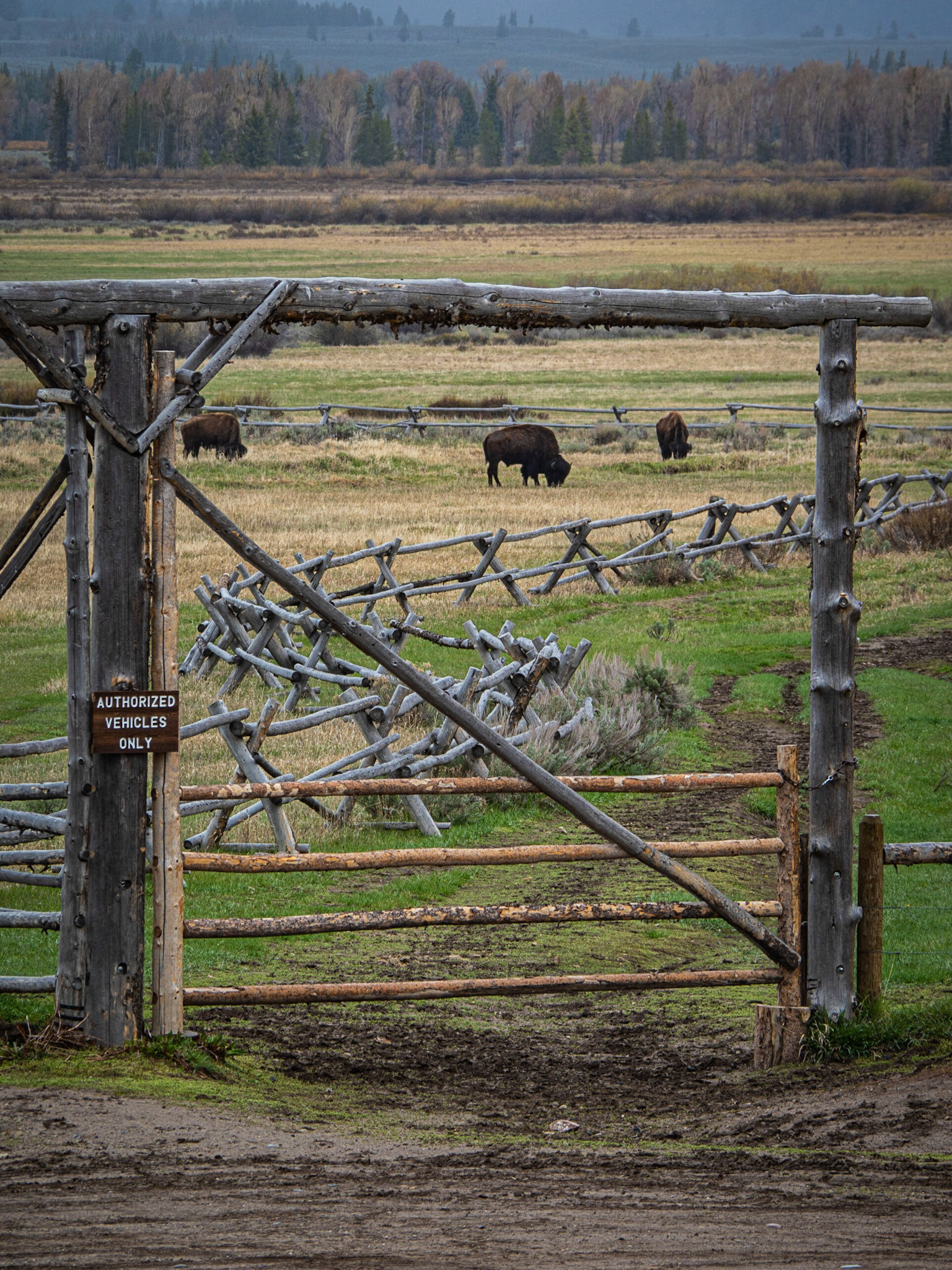 Grand Teton National Park