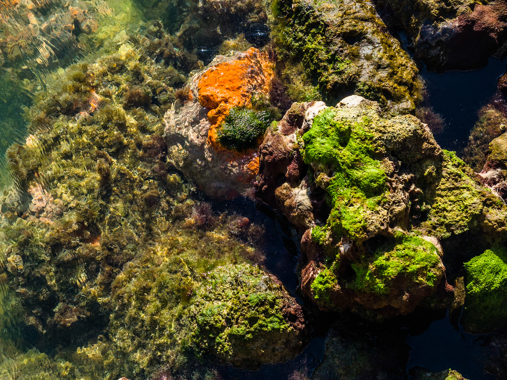 Biscayne National Park