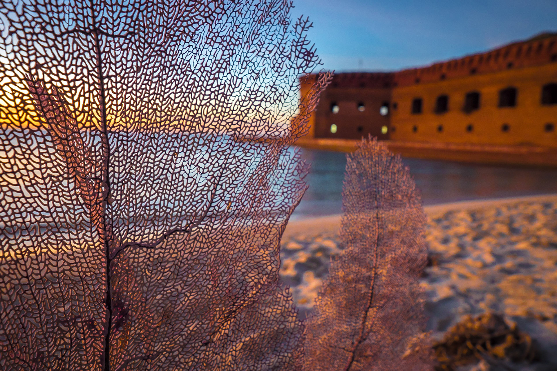 Dry Tortugas National Park