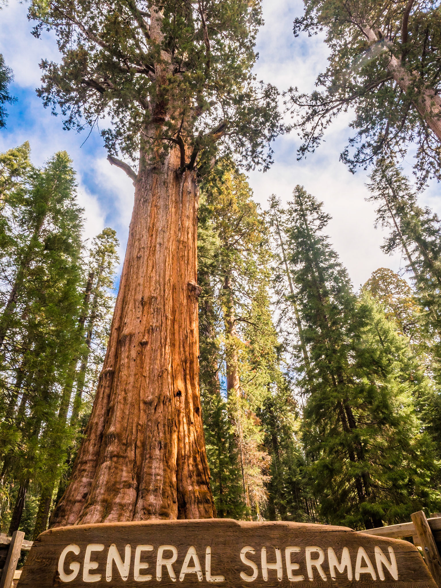 Sequoia National Park