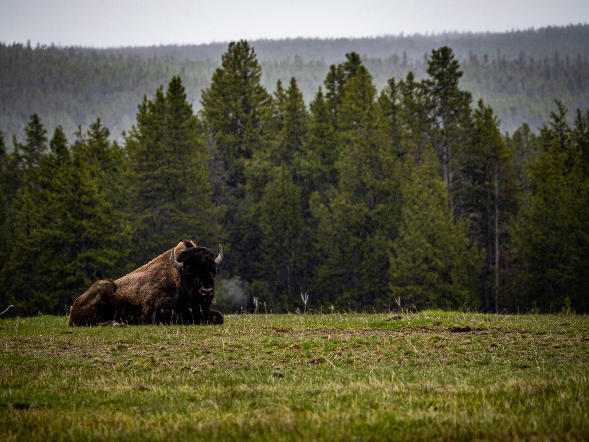 Grand Teton National Park