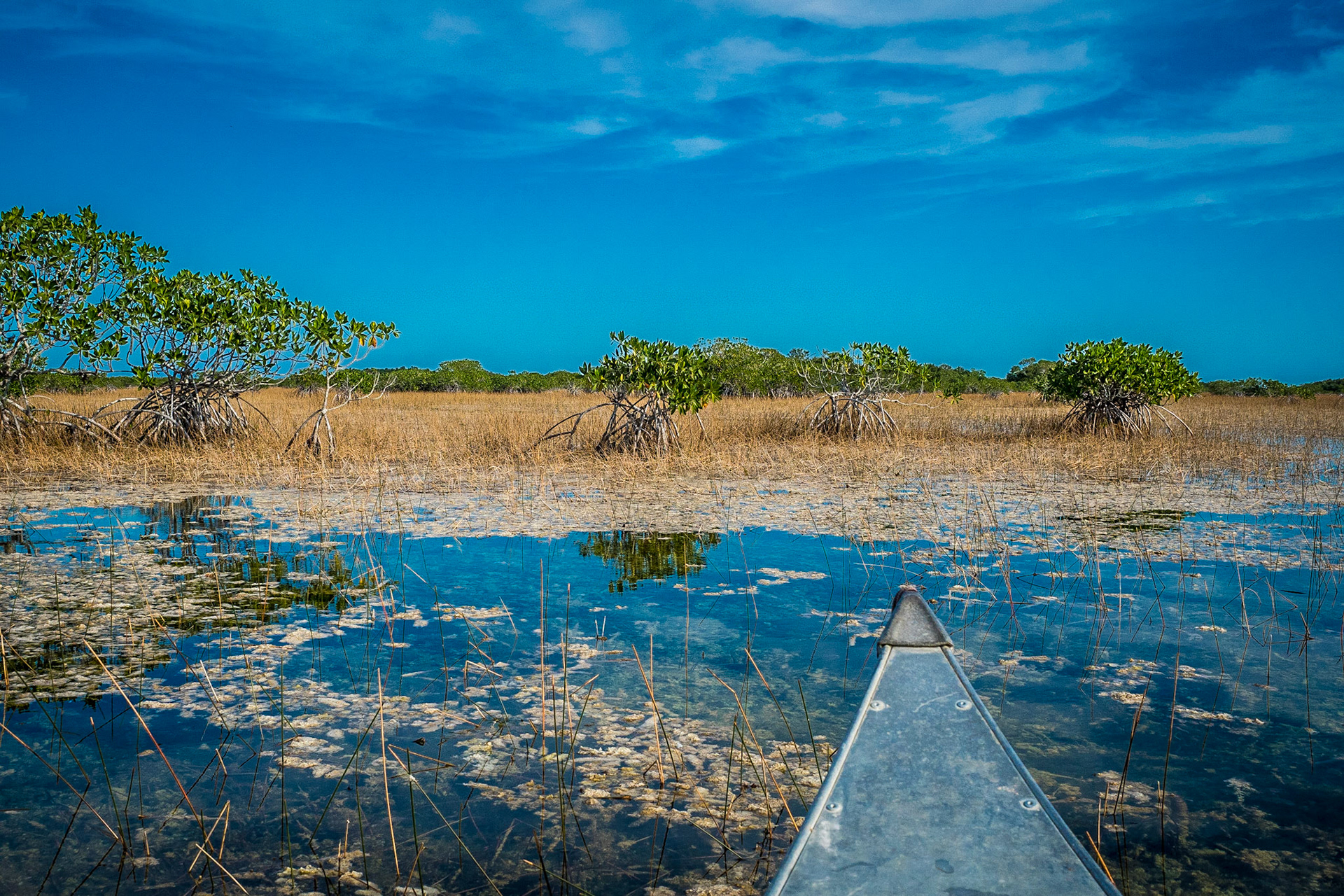 Everglades National Park