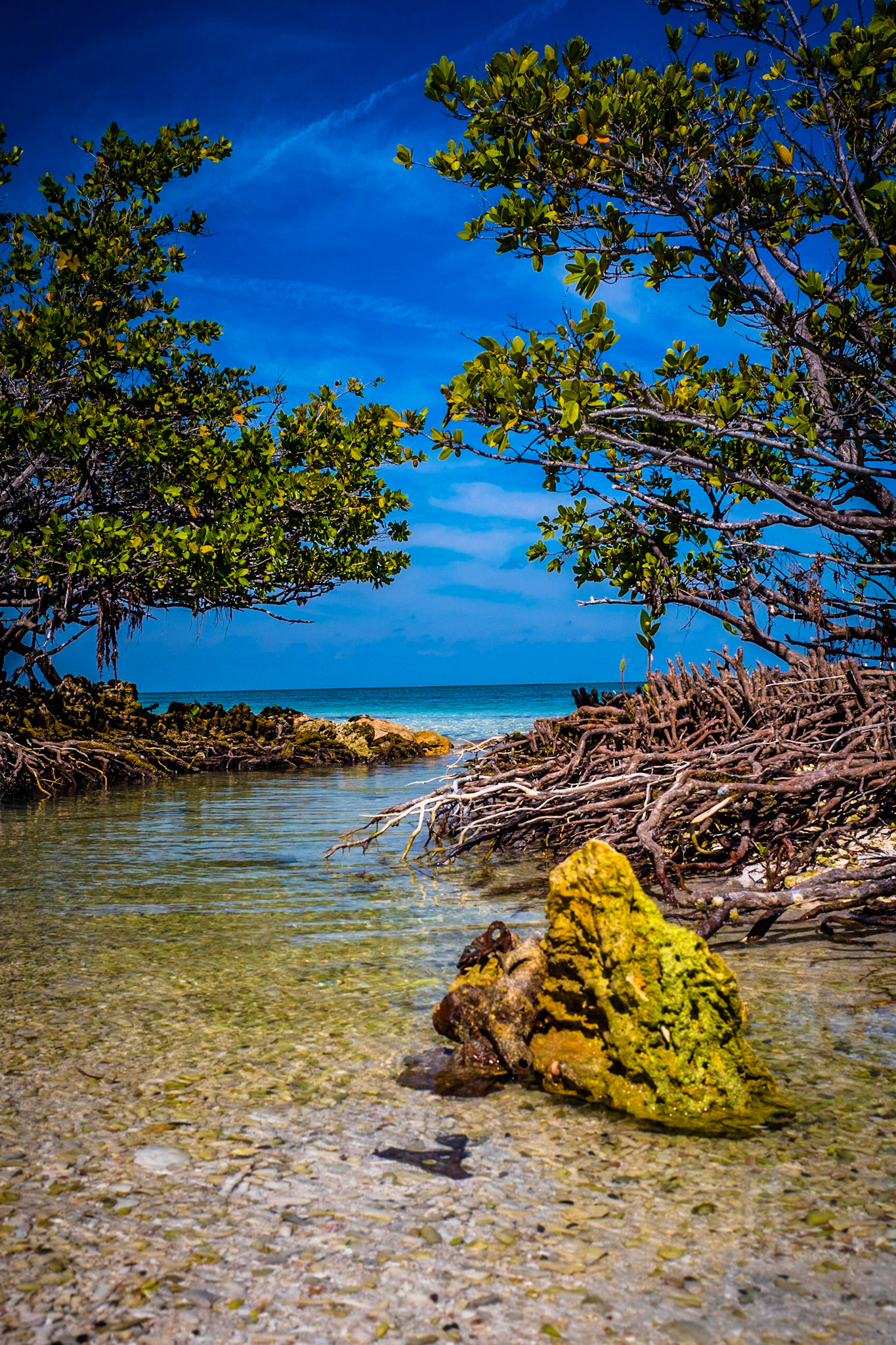 Biscayne National Park
