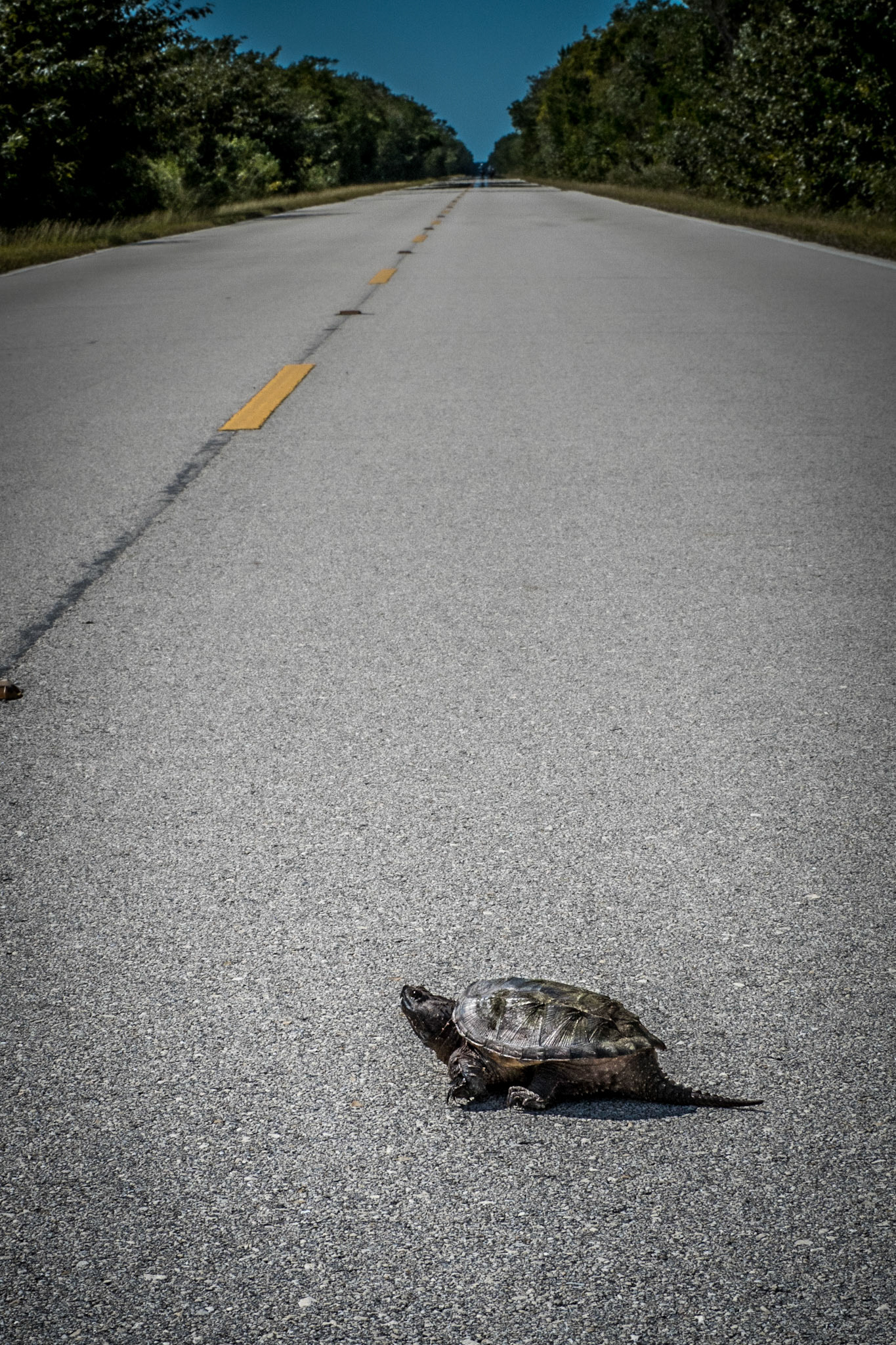 Everglades National Park