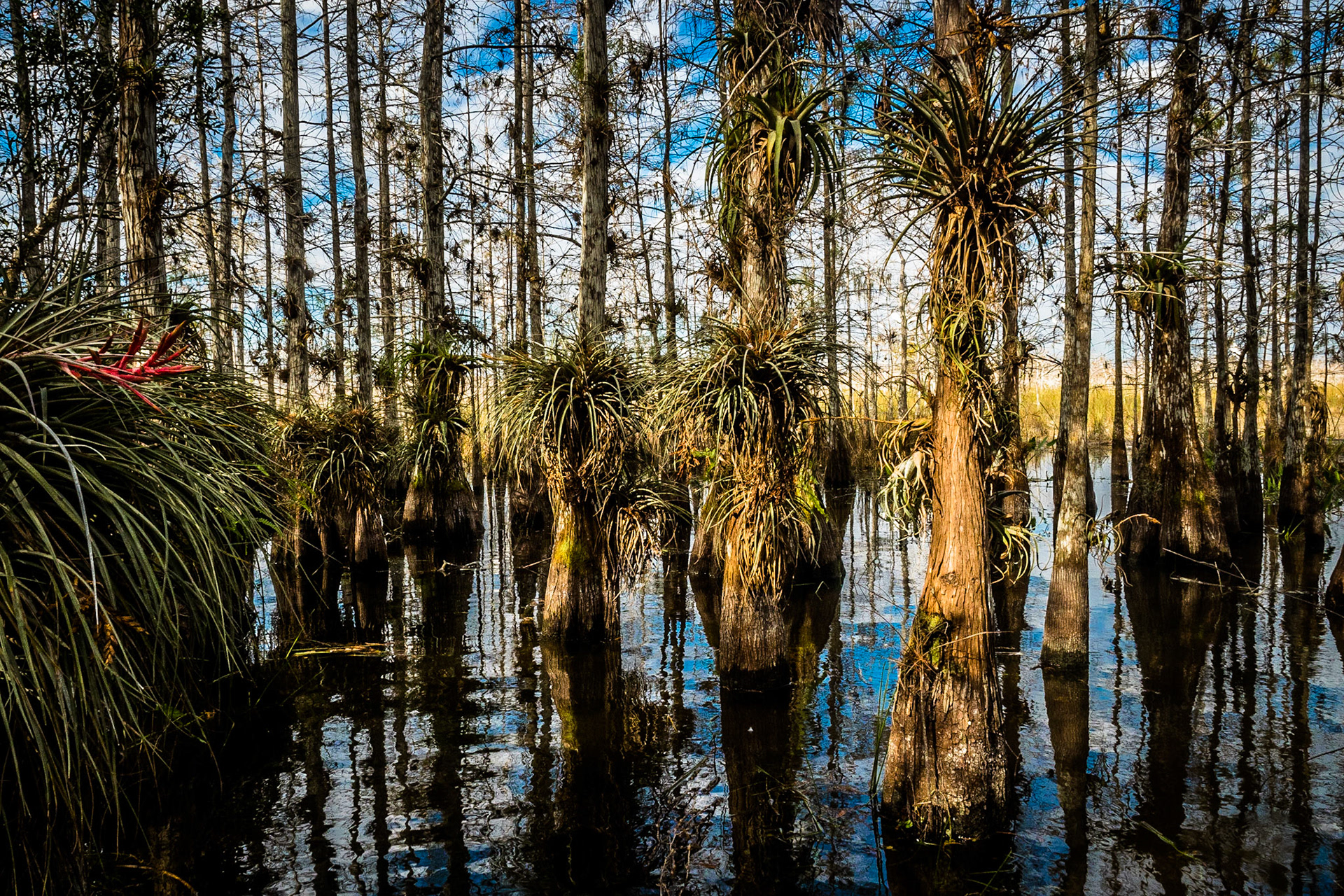 Everglades National Park