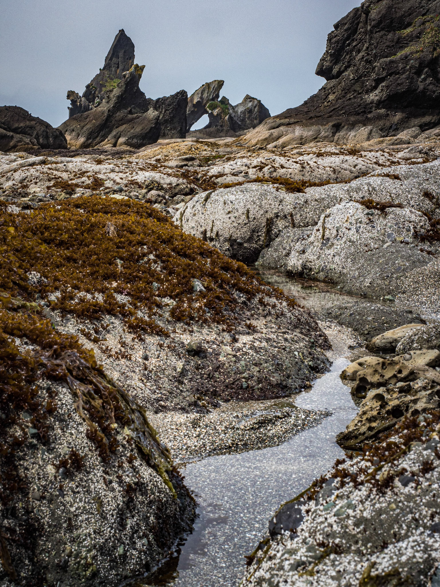Olympic National Park