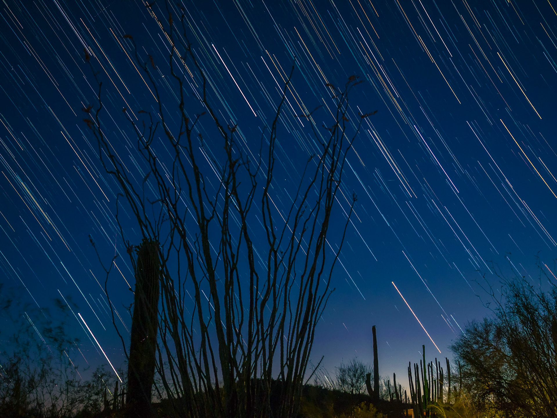 Organ Pipe Cactus National Monument