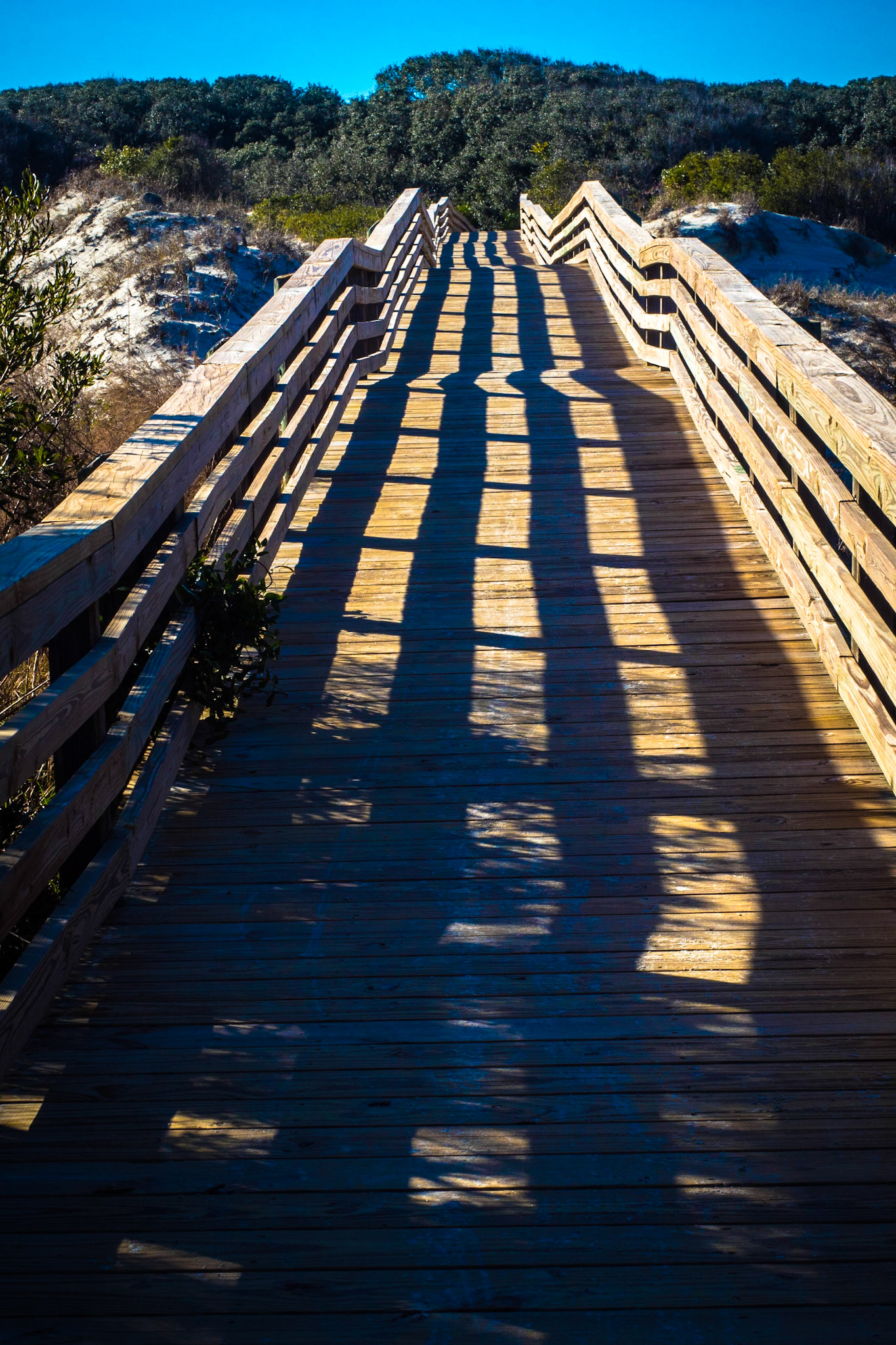 Cumberland Island National Seashore
