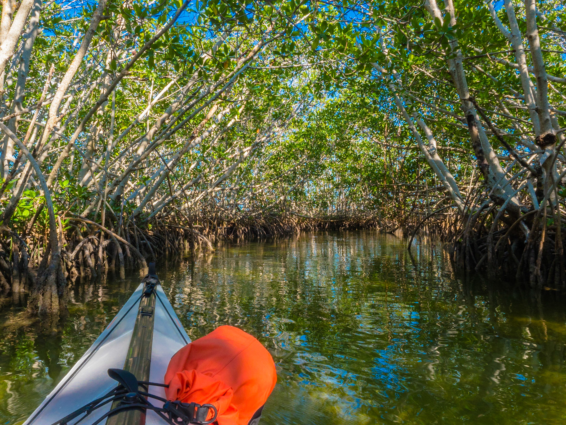 Everglades National Park