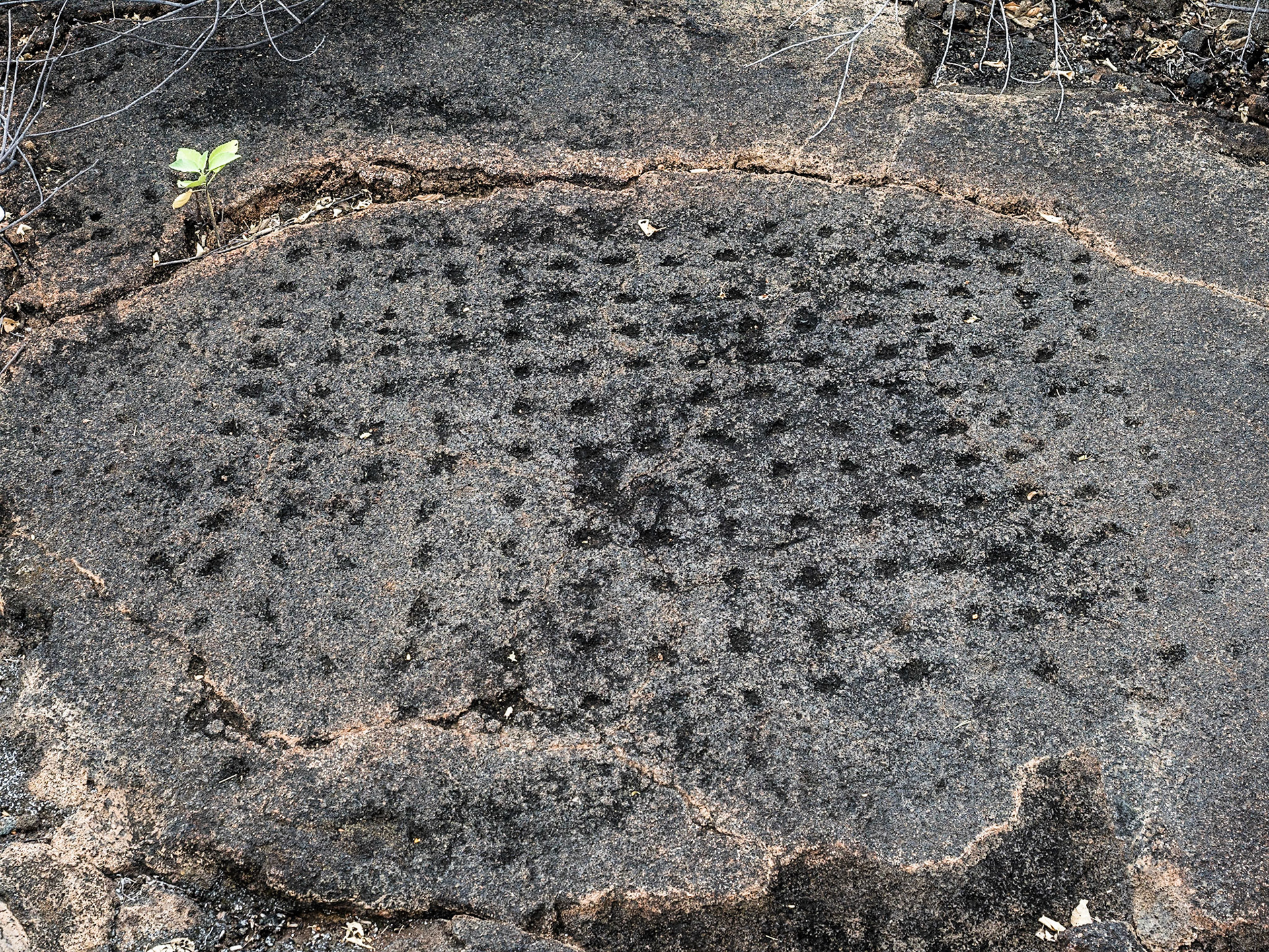 Kaloko-Honokohau National Historical Park