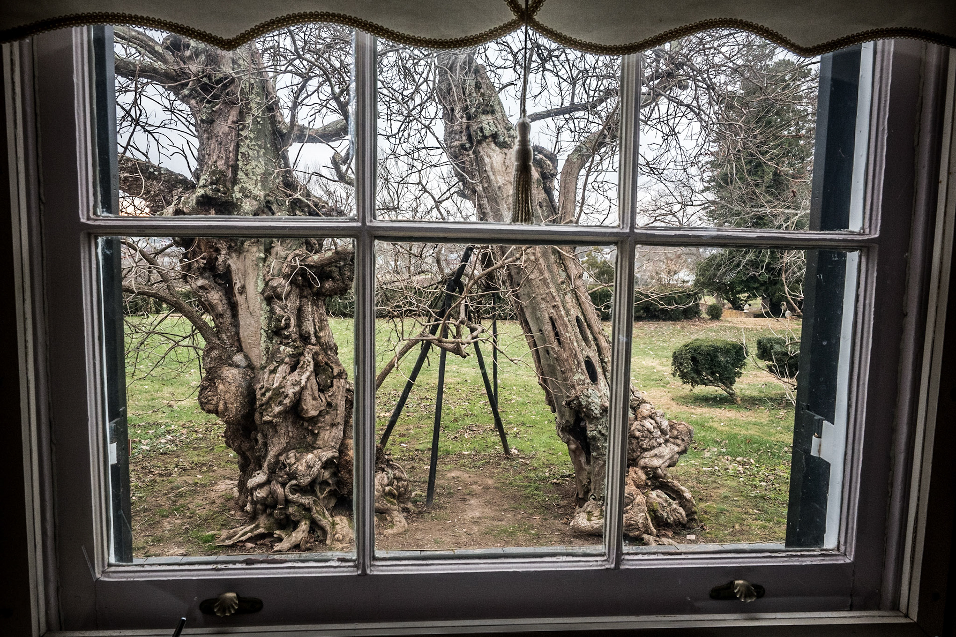 Fredricksburg Spotsylvania National Military Park