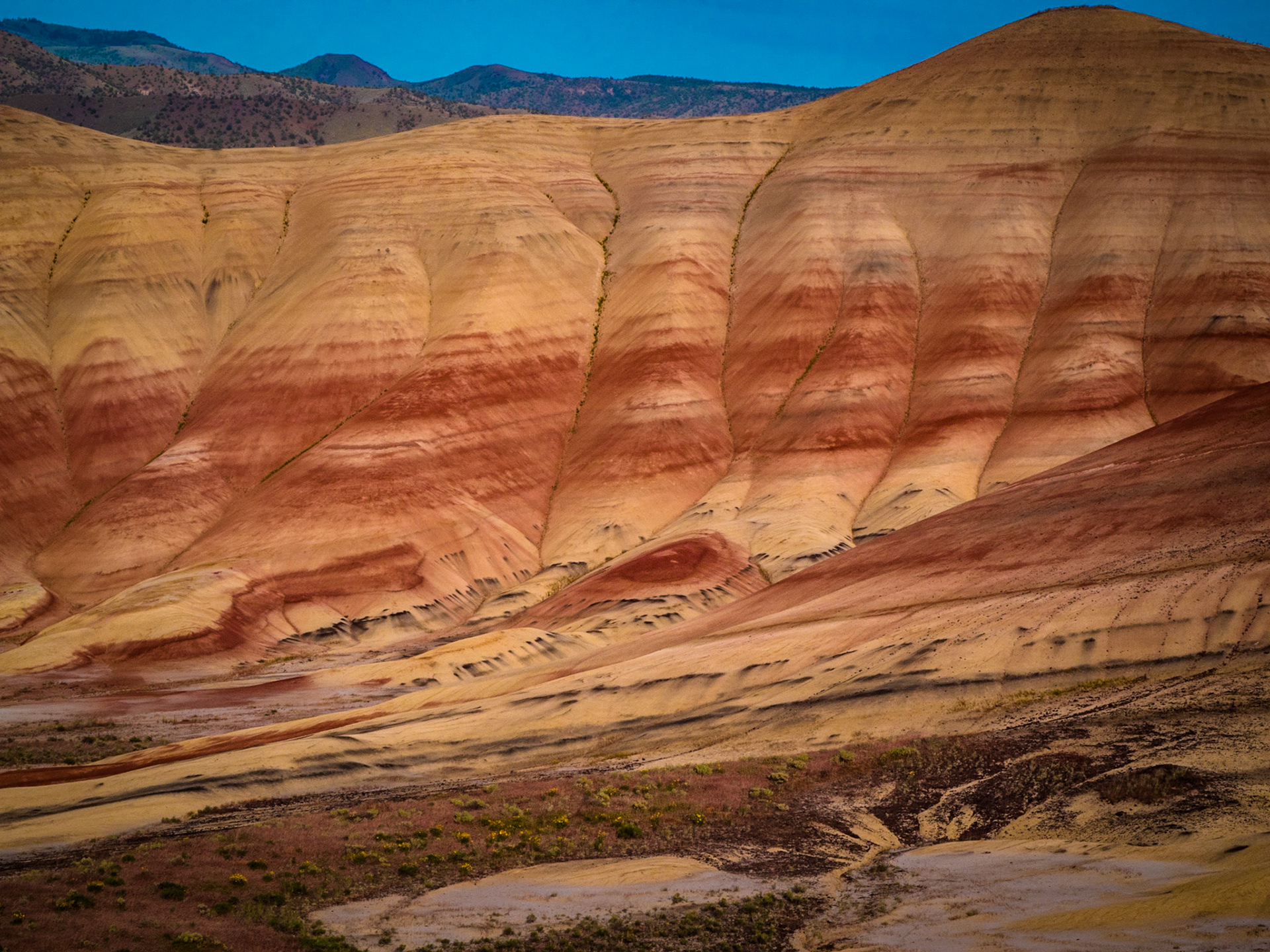 John Day Fossil Beds National Monument