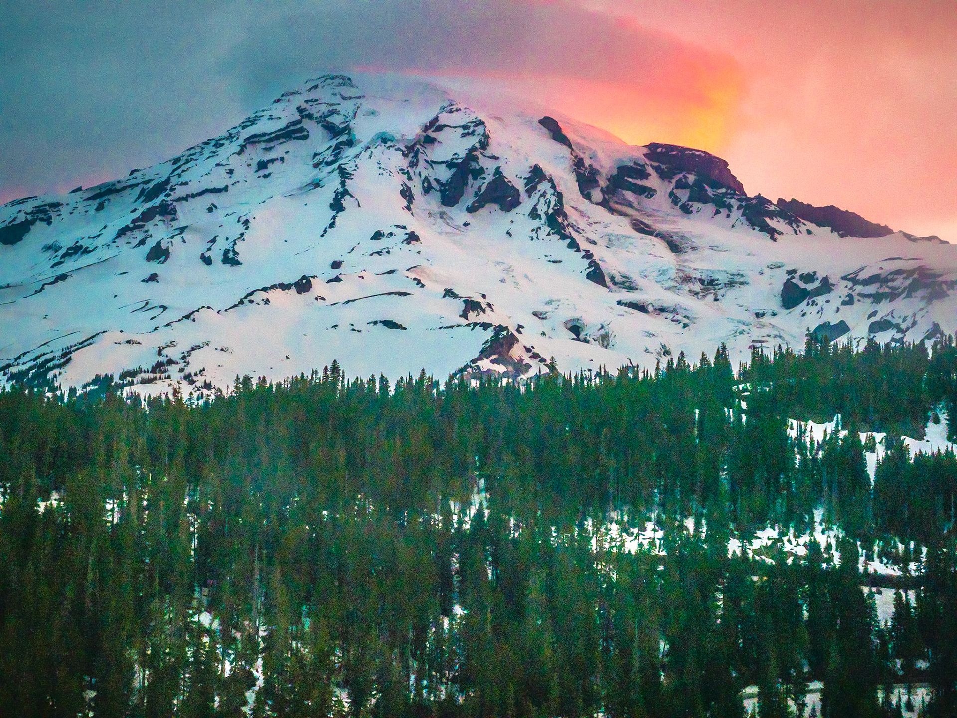 Mt Rainier National Park