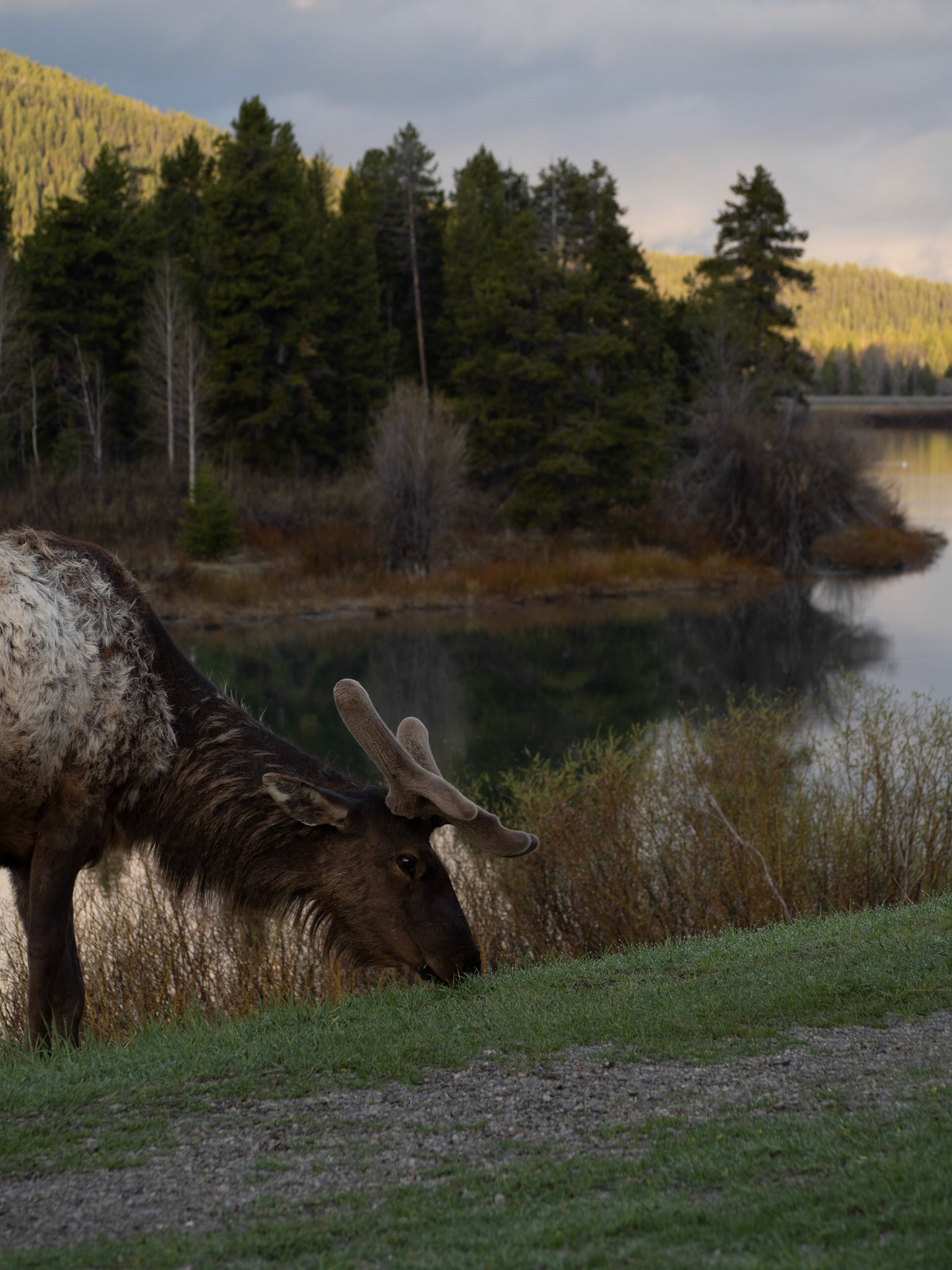 Grand Teton National Park