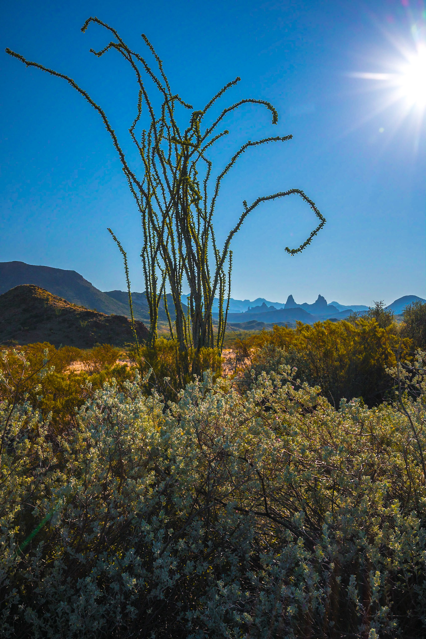 Big Bend National Park