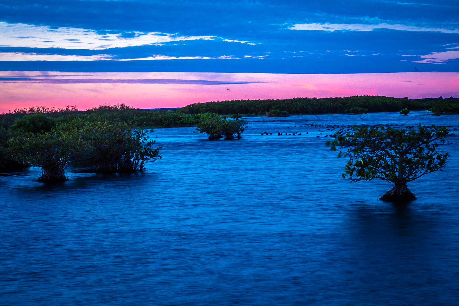 Canaveral National Seashore