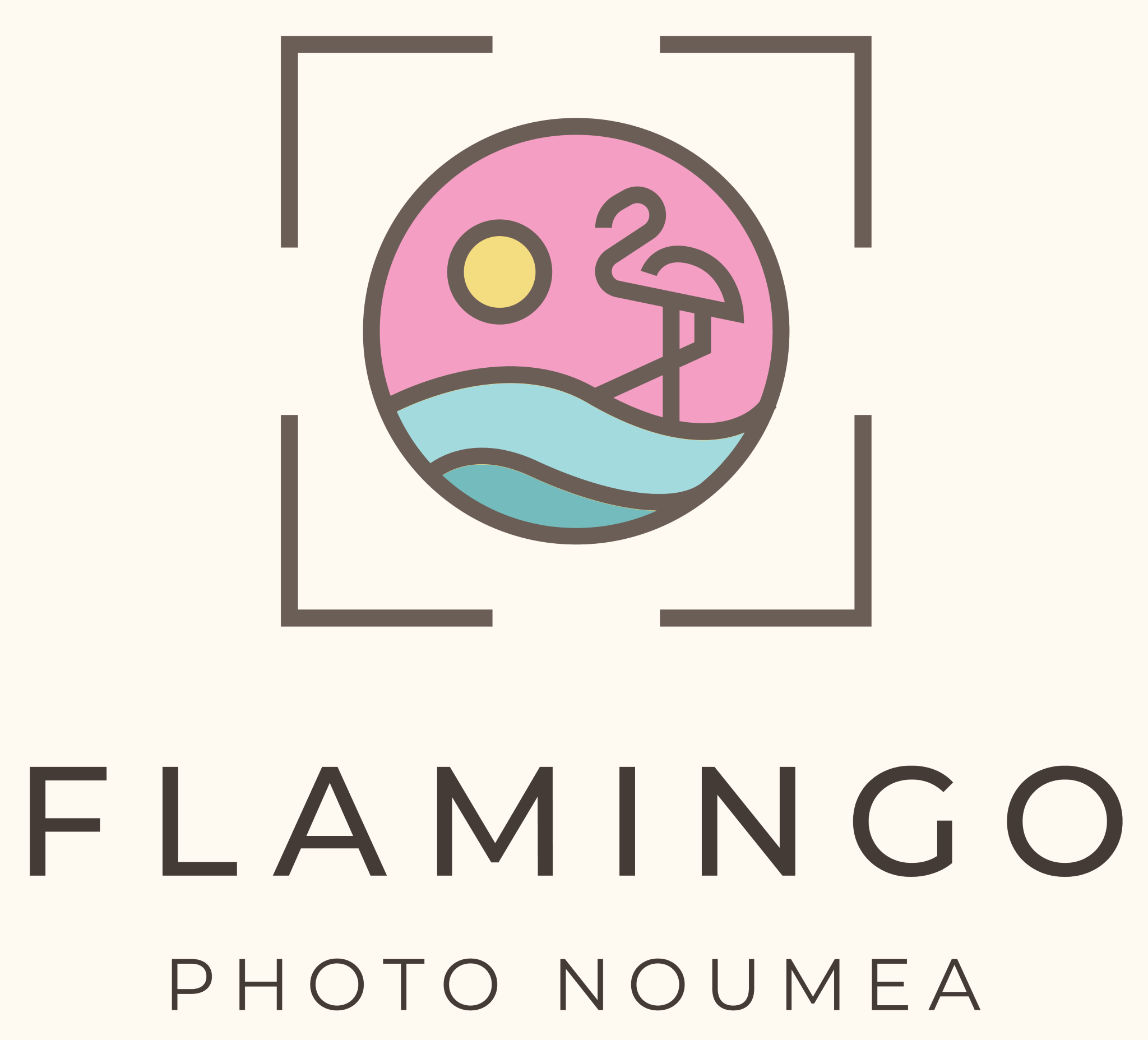 Flamingo Photo Nouméa