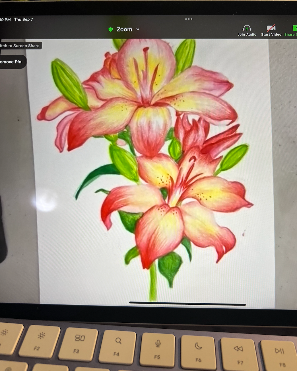 Online Drawing Class Work