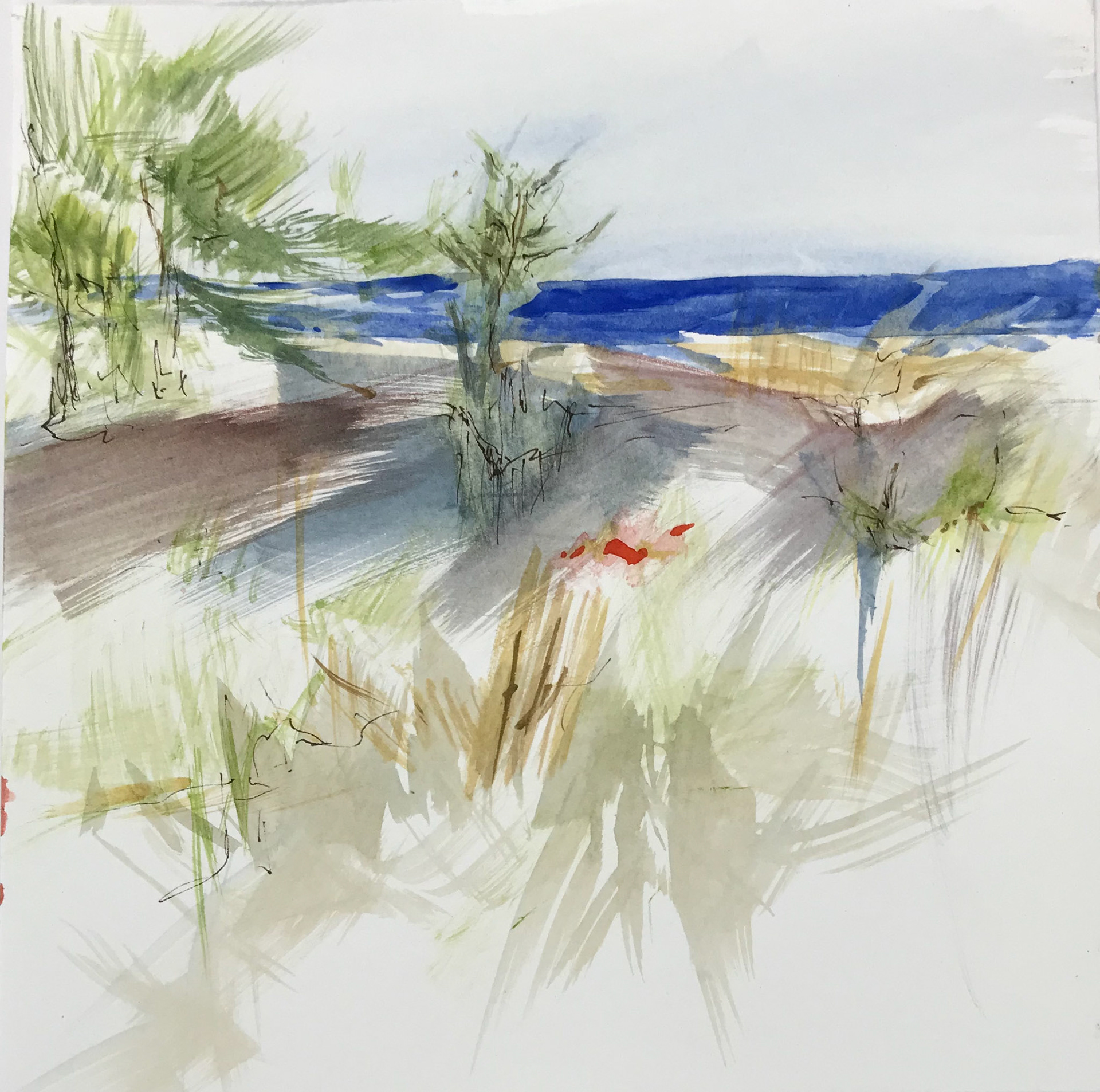 Hellcat Swamp Watercolor Painting 12" x 12"