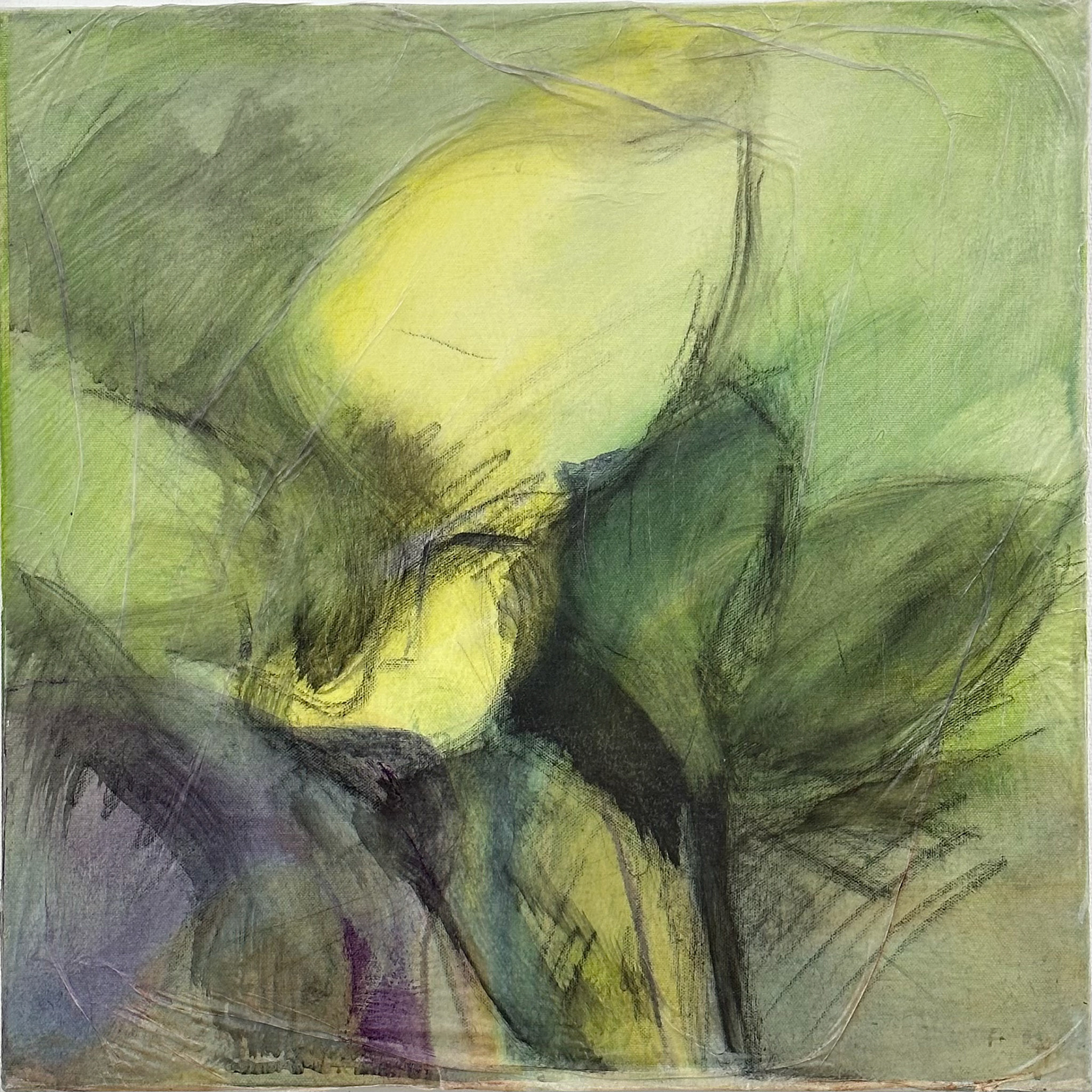 Emerging Hosta, Oil and Charcoal on Canvas and Paper, 14" x 14"