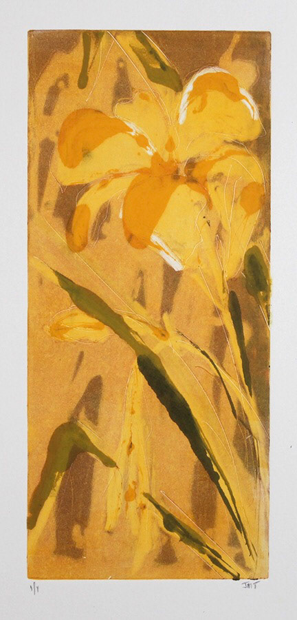 Monotype 9" x 4"