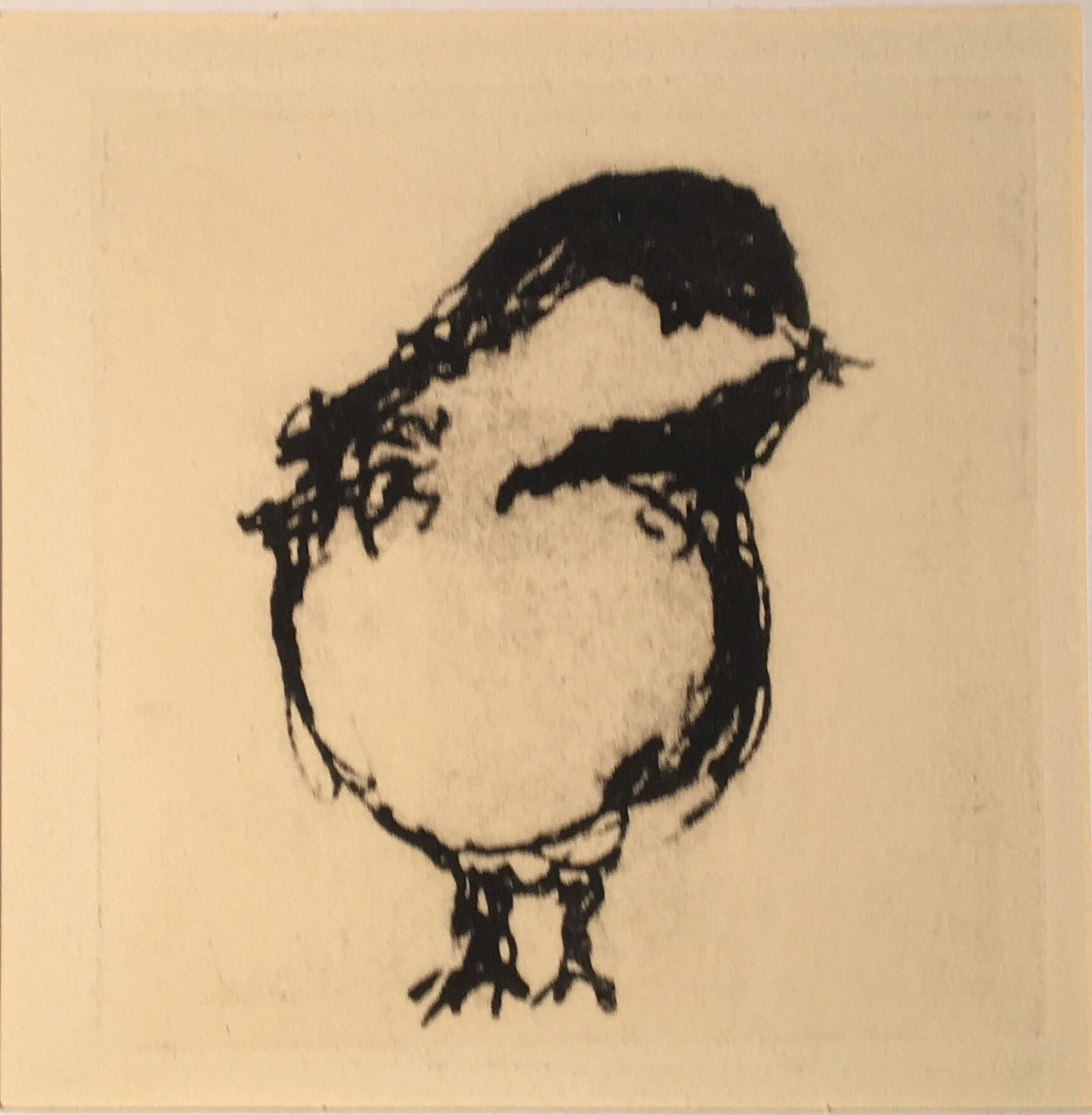 Pronto Plate 4" x 4"