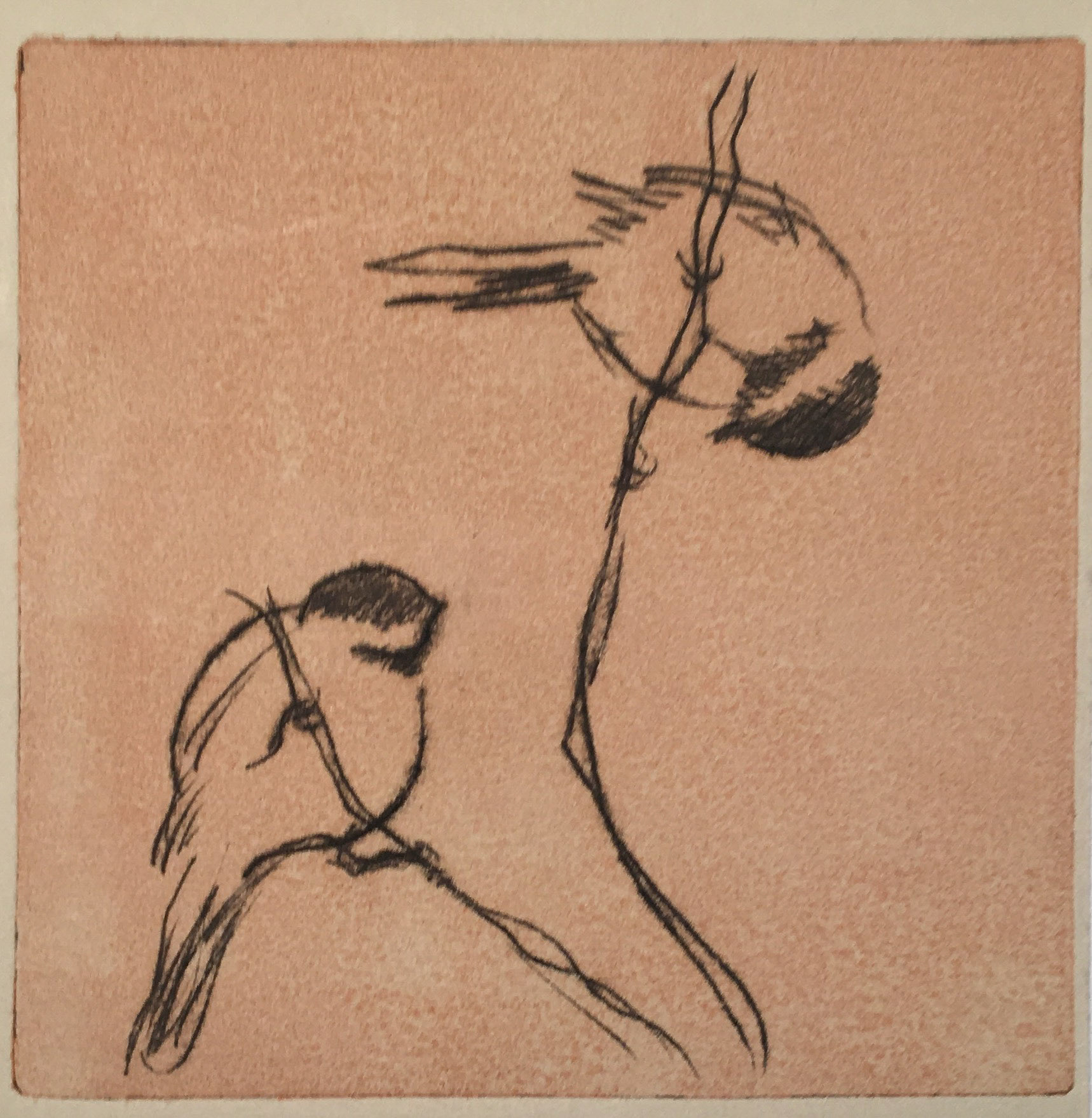 Drypoint 4" x 4"