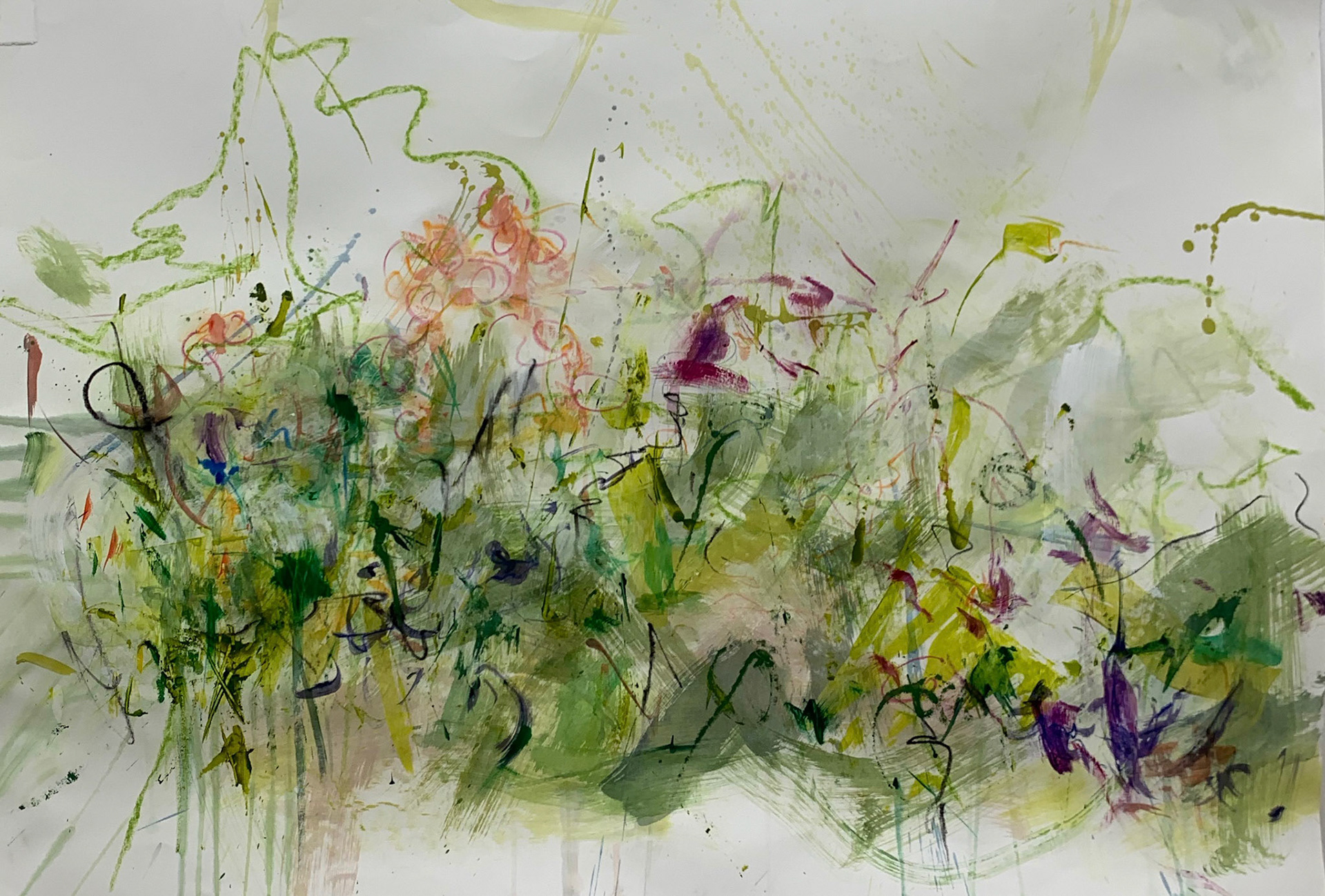 Nan's Garden 1 Mixed Media on Paper 36" x 48"