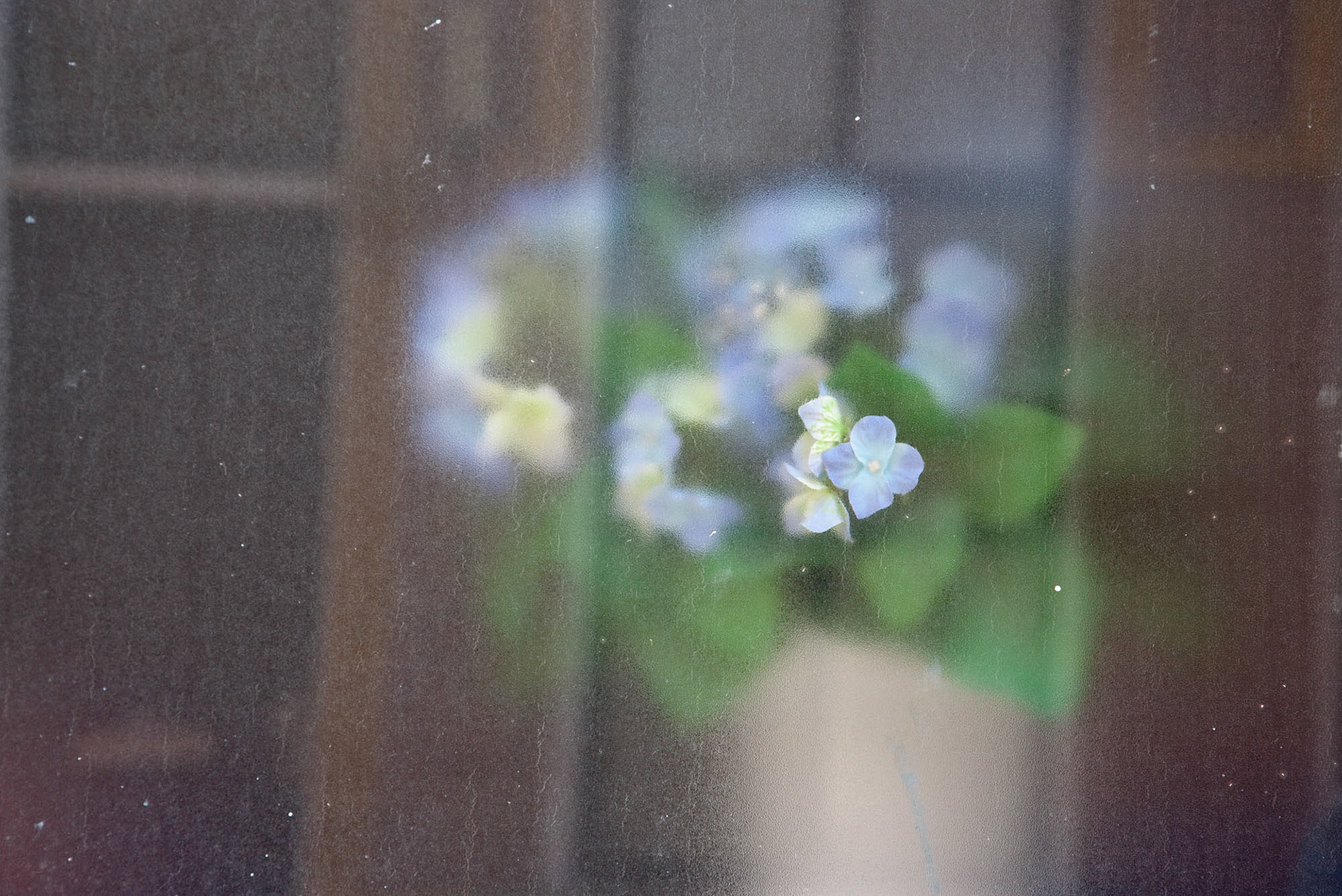 obycejnosti Groningen 47, 2007