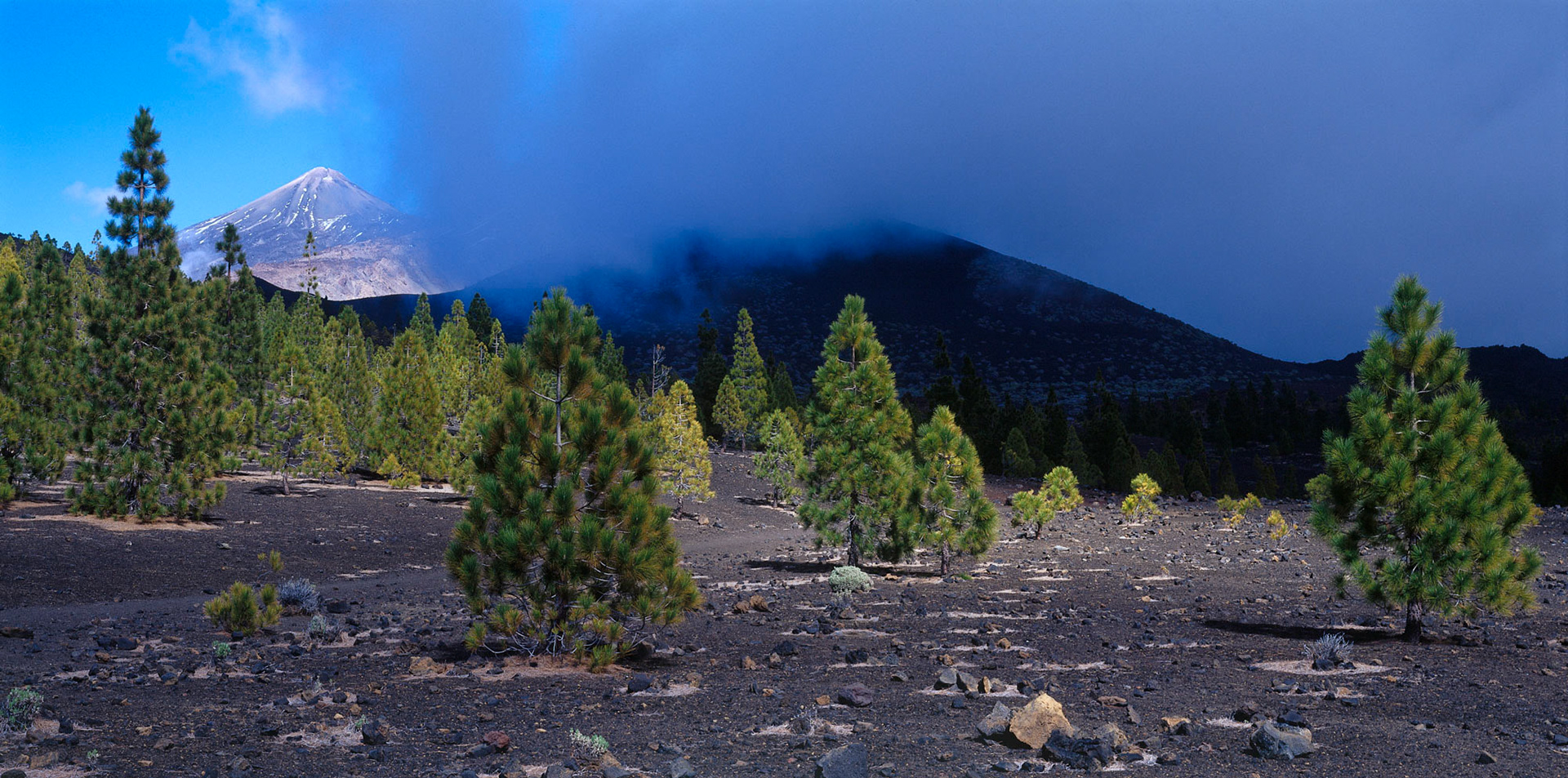 Pico de Teide, Tenerife