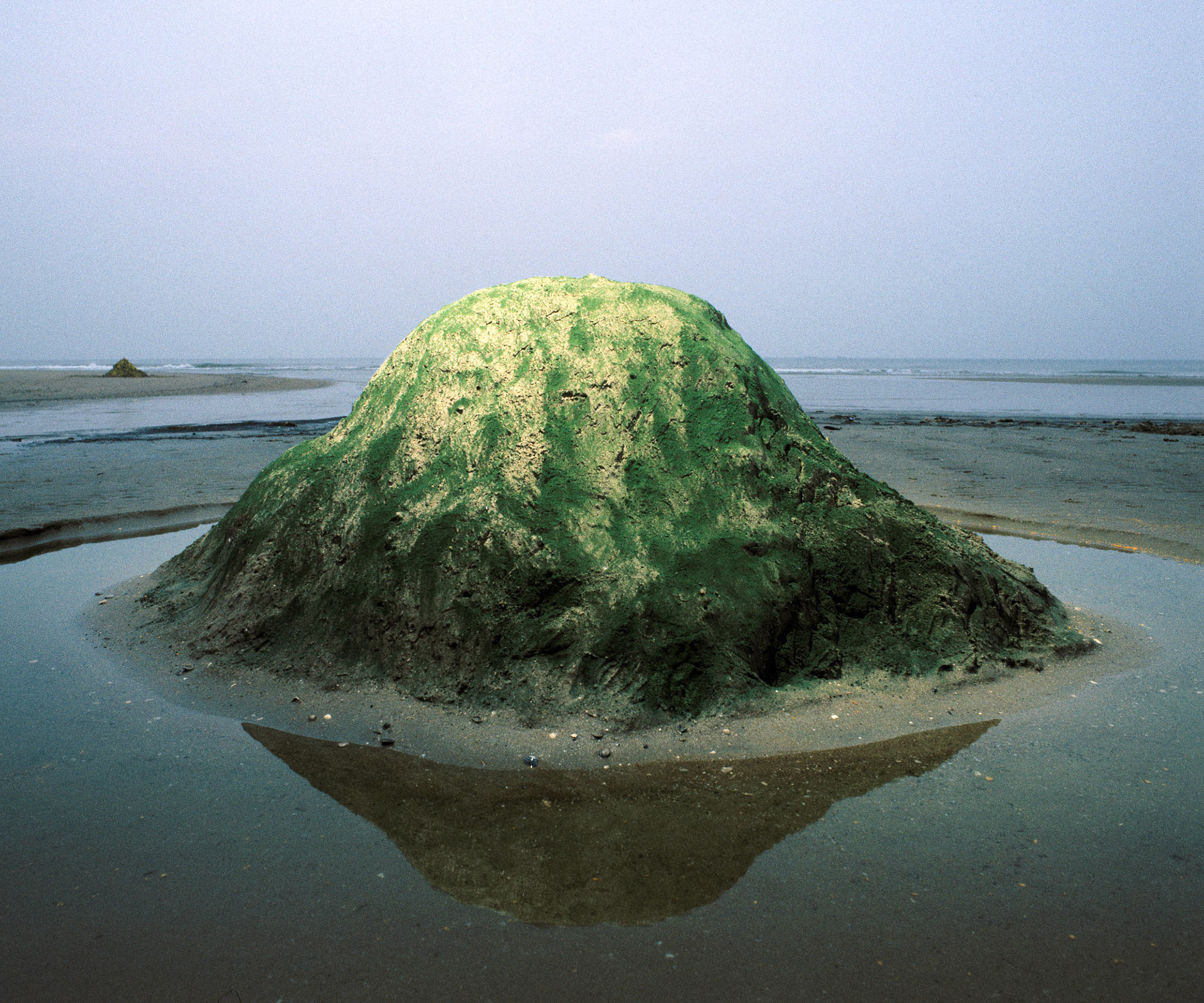 Bohemia in a Puddle, 1990
