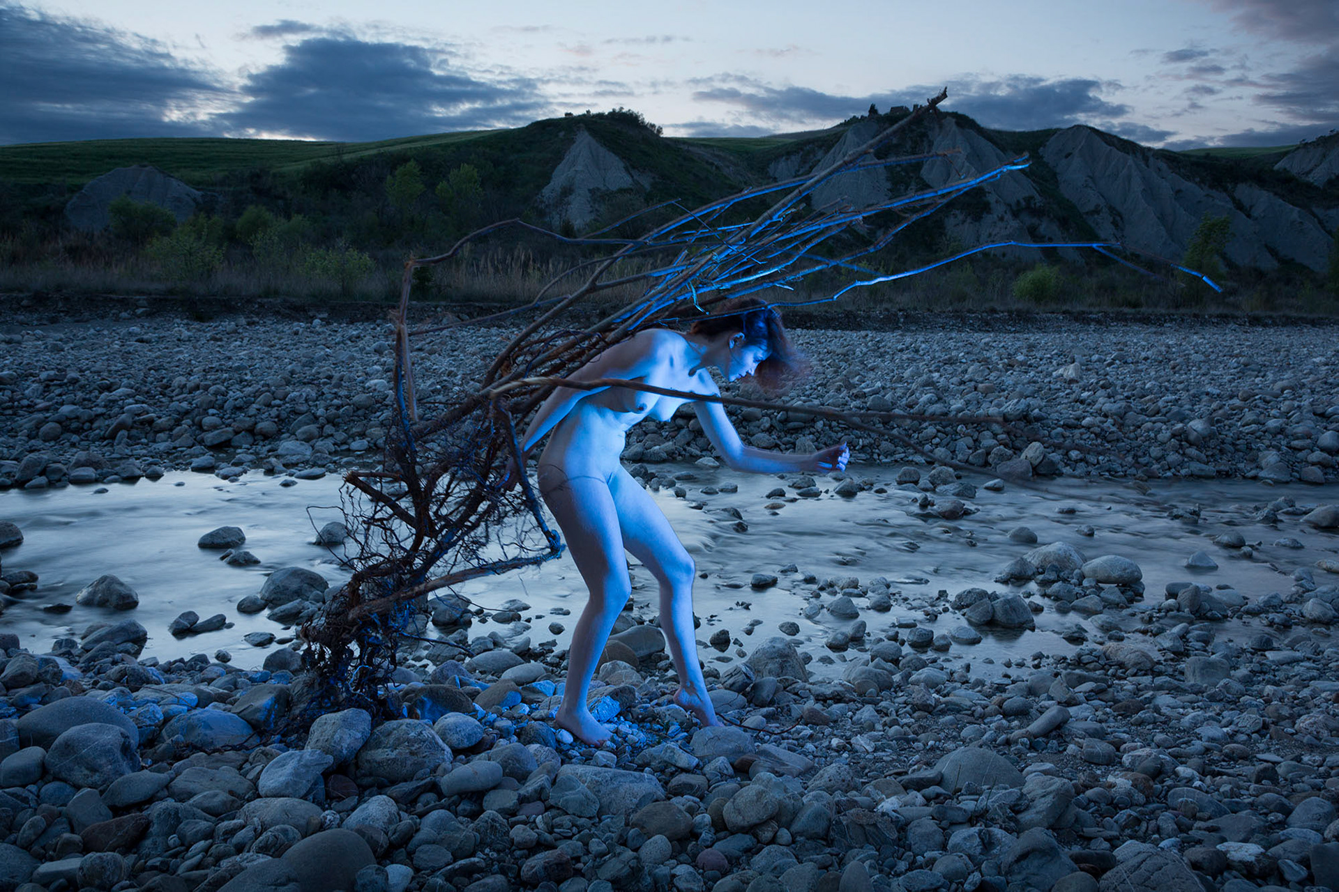 Dikobrazí žena, 2015