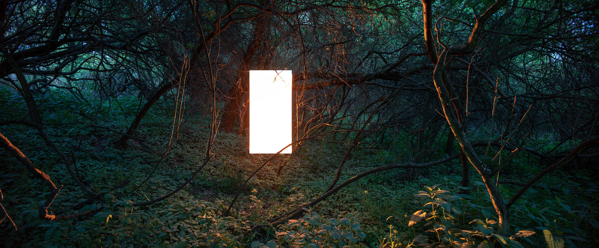 Woodshine, 2018