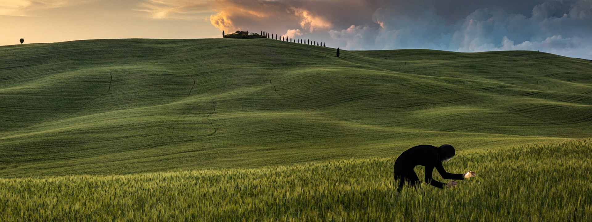 Hledání světla, 2018